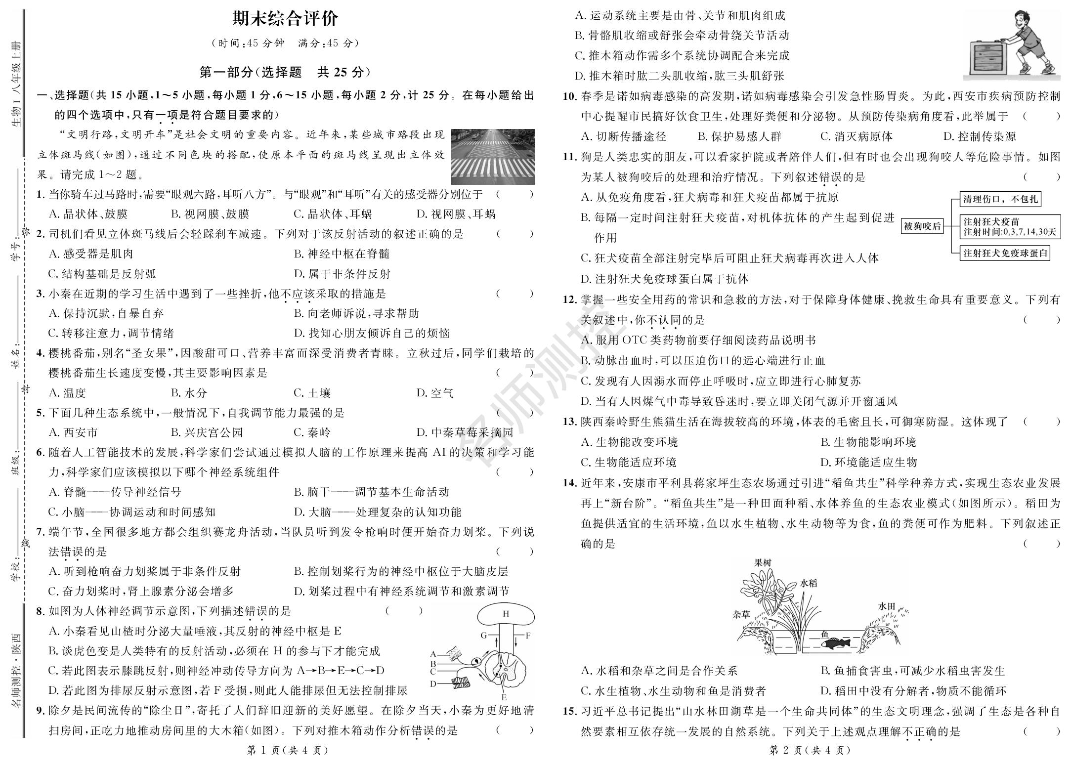 期末综合评价-【鸿鹄志·名师测控】2025-2026学年新教材八年级上册生物（人教版2024 陕西专版）