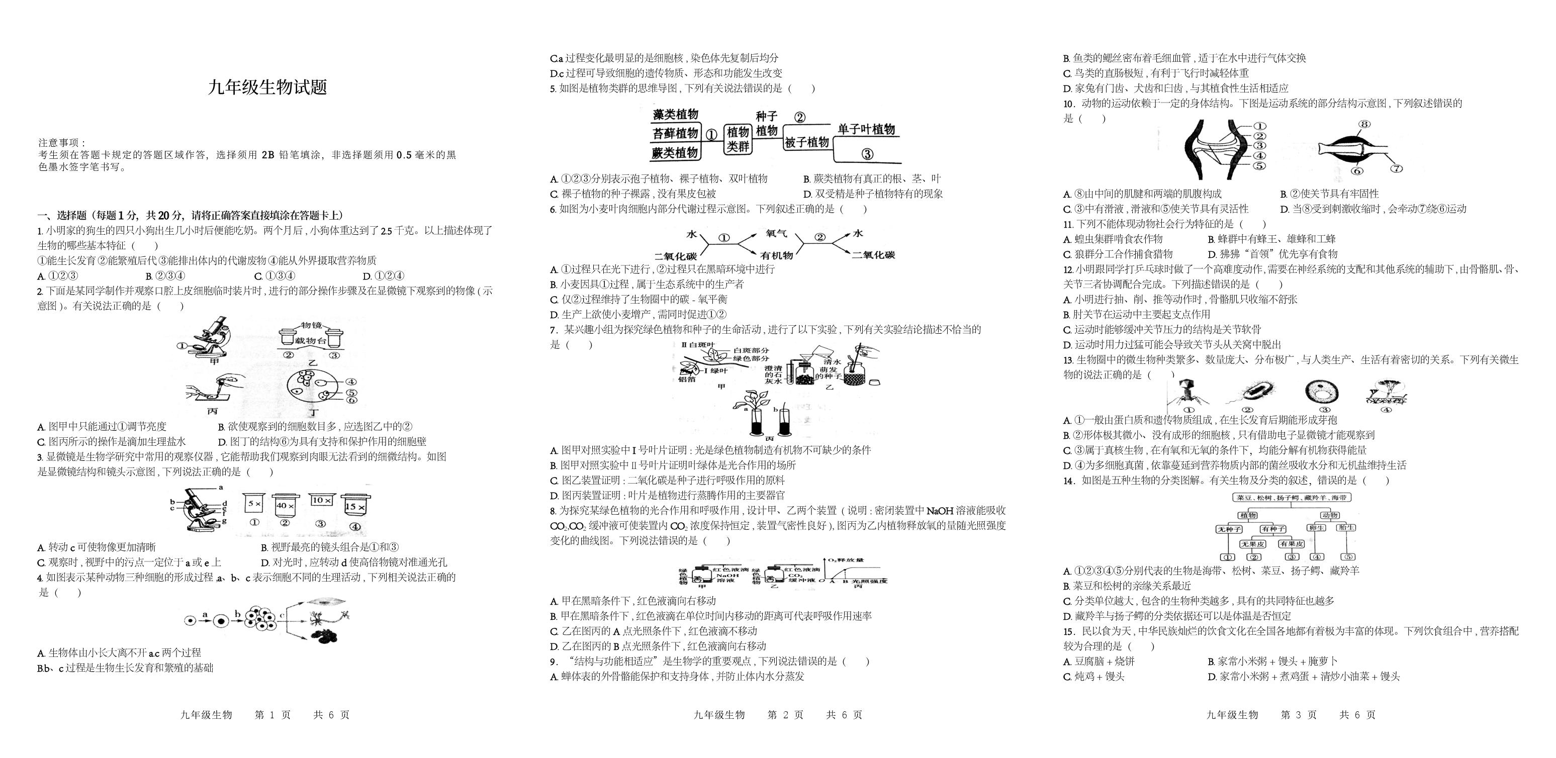 山东省菏泽市巨野县2025-2026学年九年级上学期期中生物试题