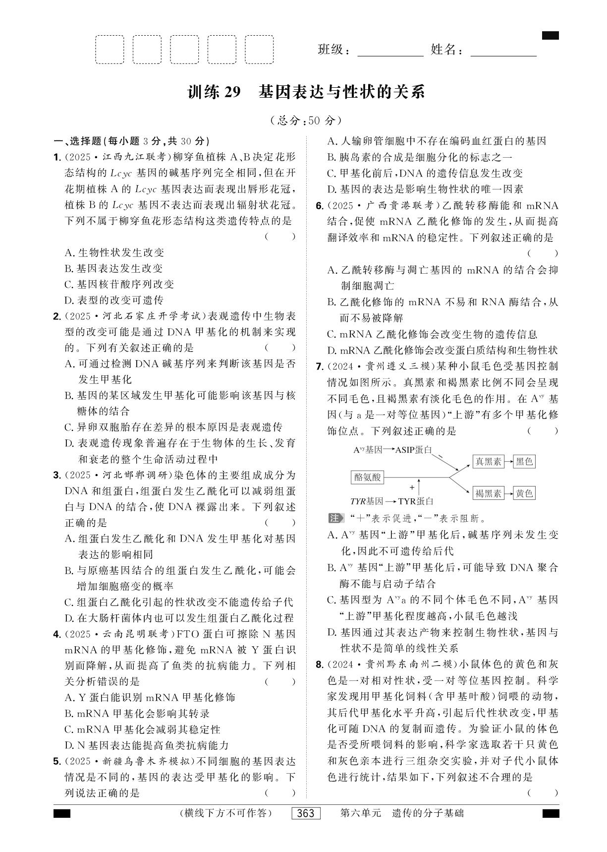 训练29 基因表达与性状的关系-【红对勾讲与练·练习手册】2026年高考生物大一轮复习全新方案基础版(单选版)