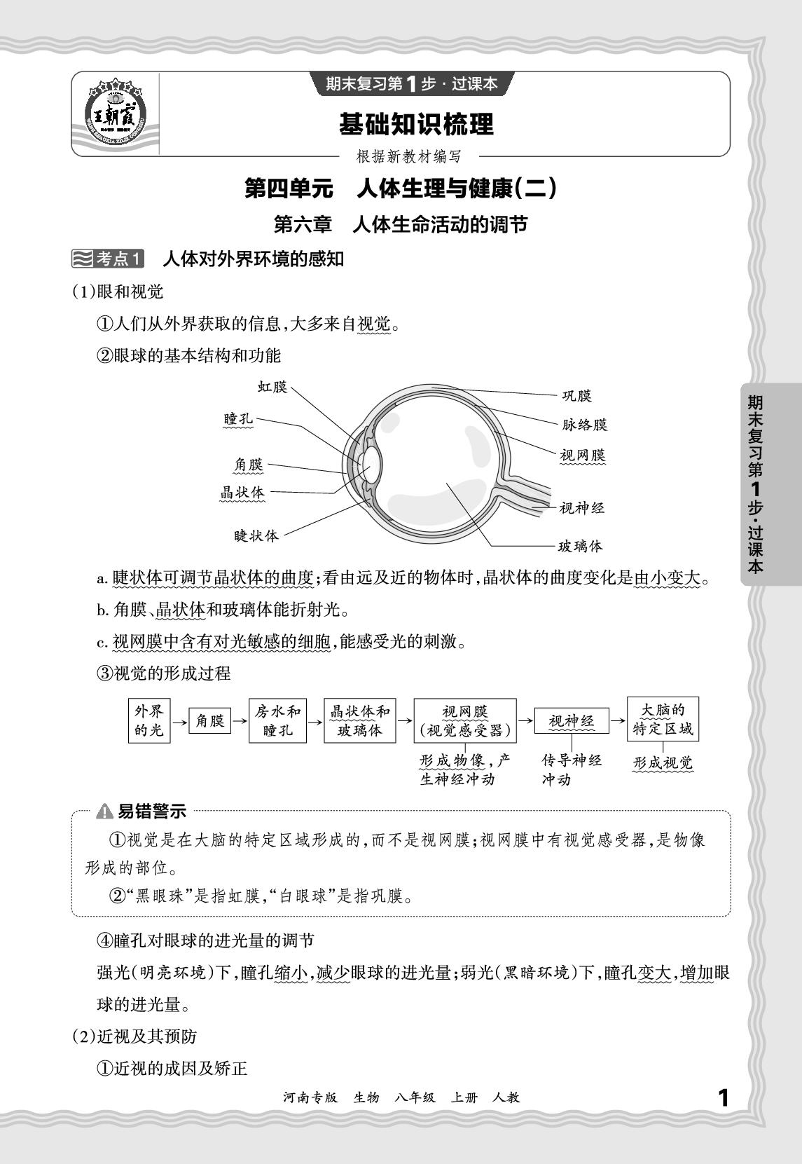 基础知识梳理 第4单元 第6章 人体生命活动的调节-【王朝霞系列丛书】2025-2026学年新教材八年级上册生物期末试卷精选（人教版 河南专版）