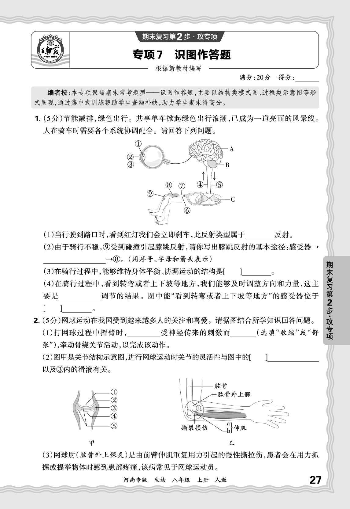 专项7 识图作答题-【王朝霞系列丛书】2025-2026学年新教材八年级上册生物期末试卷精选（人教版 河南专版）