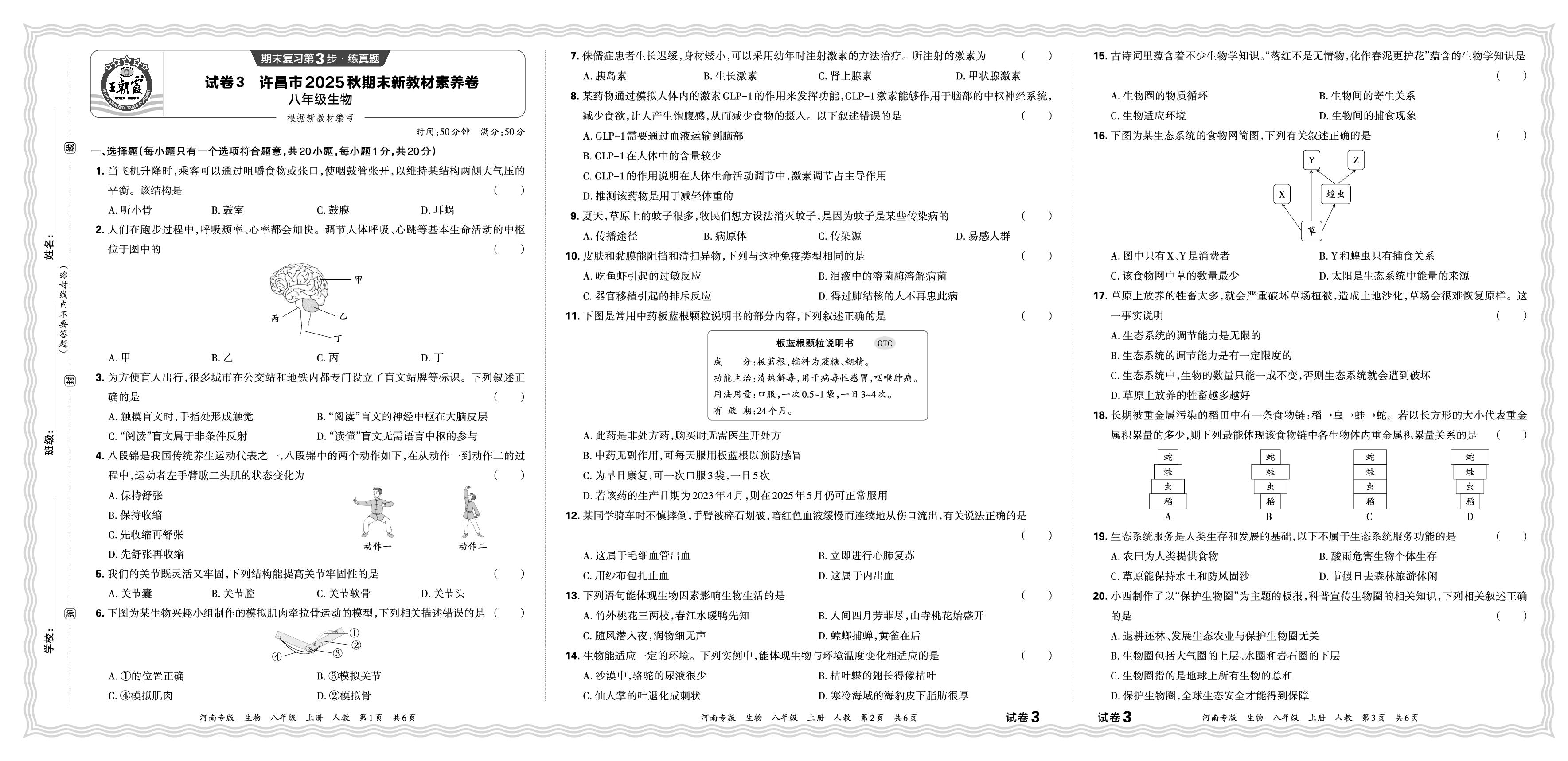 试卷3 许昌市新教材素养卷-【王朝霞系列丛书】2025-2026学年新教材八年级上册生物期末试卷精选（人教版 河南专版）