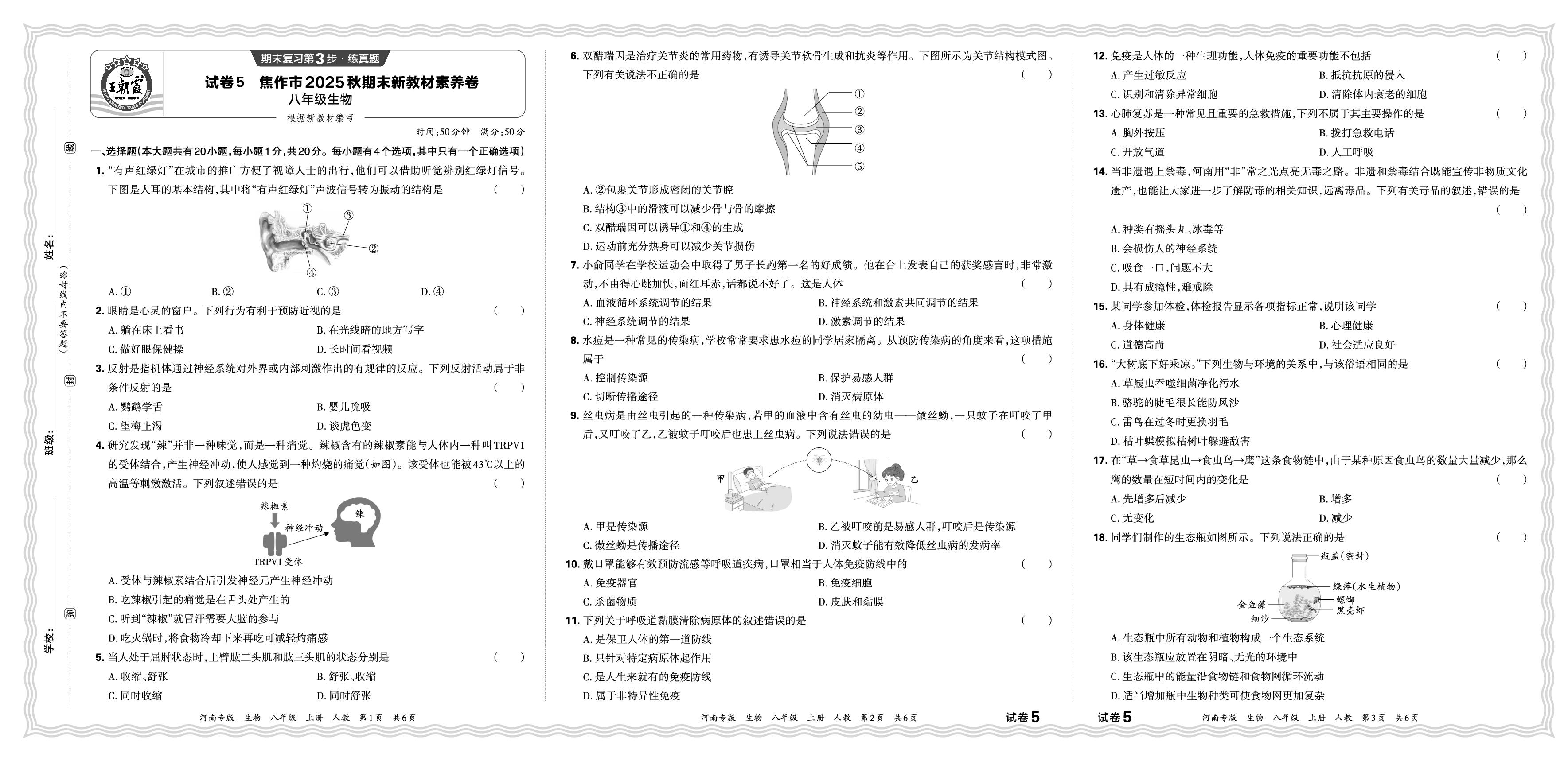 试卷5 焦作市新教材素养卷-【王朝霞系列丛书】2025-2026学年新教材八年级上册生物期末试卷精选（人教版 河南专版）