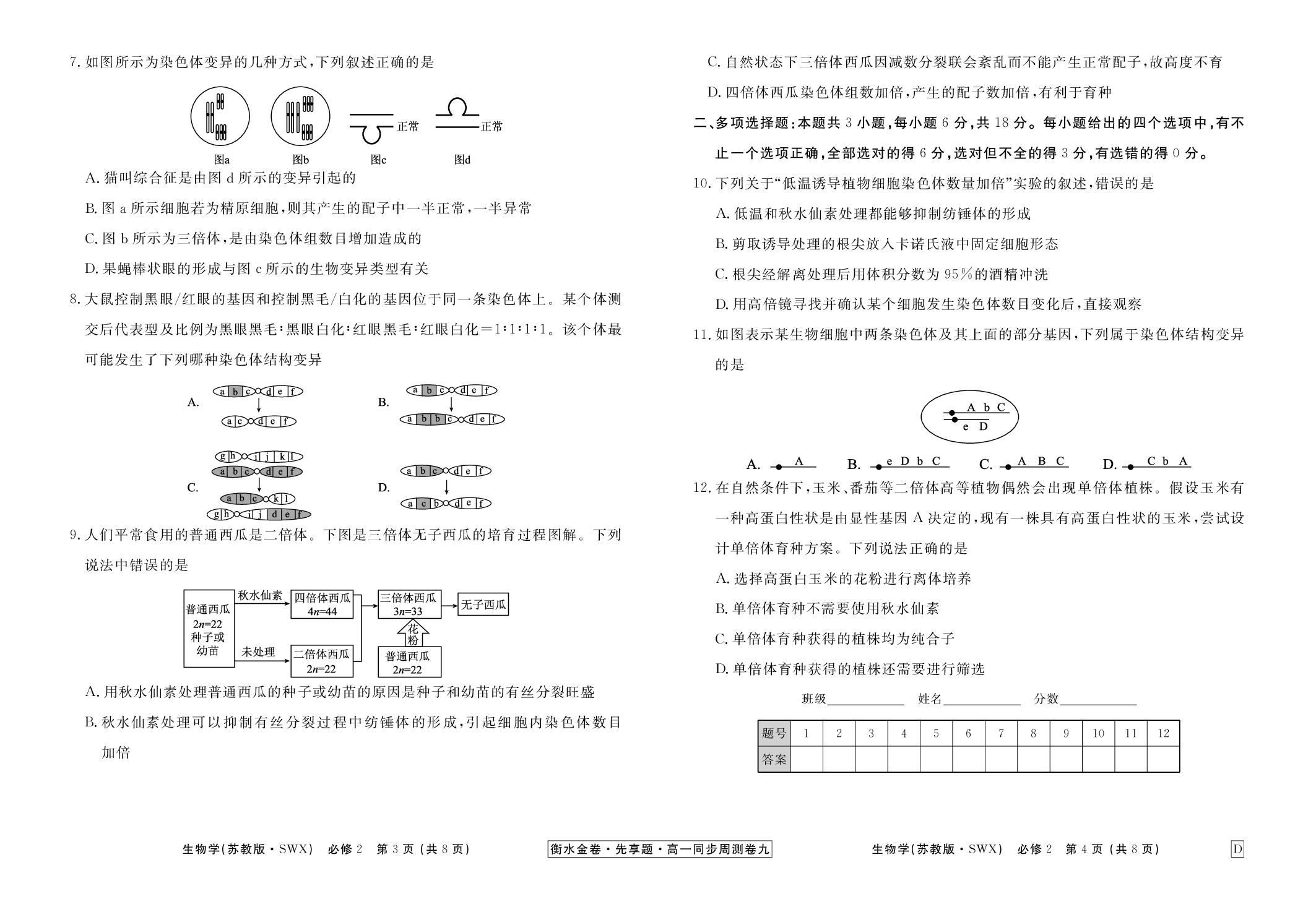 (九) 染色体变异及其应用-【衡水金卷·先享题】2024-2025学年高一生物必修第二册同步周测卷(苏教版)