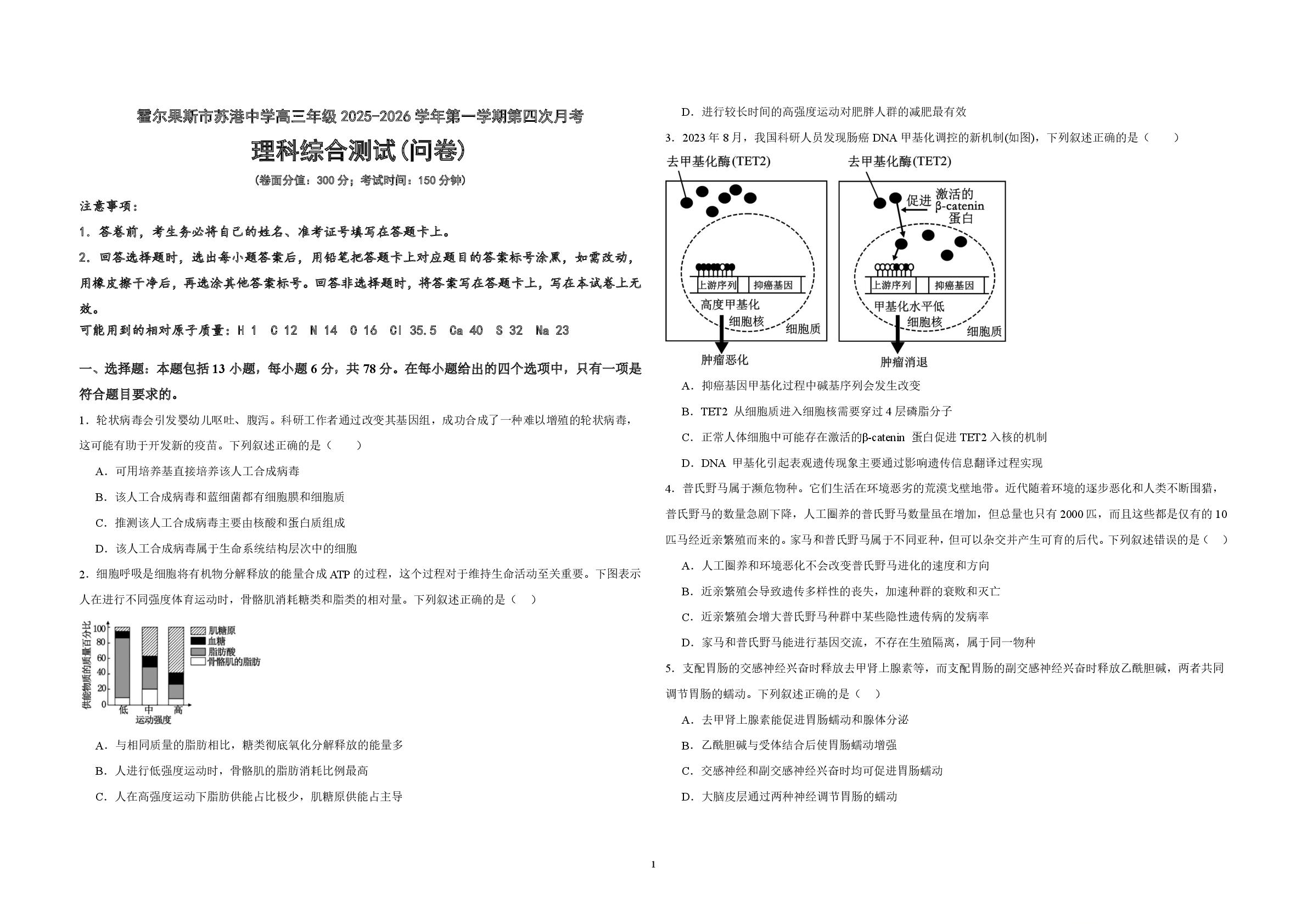 霍尔果斯市苏港中学2025-2026学年高三上学期第四次月考理科综合试题