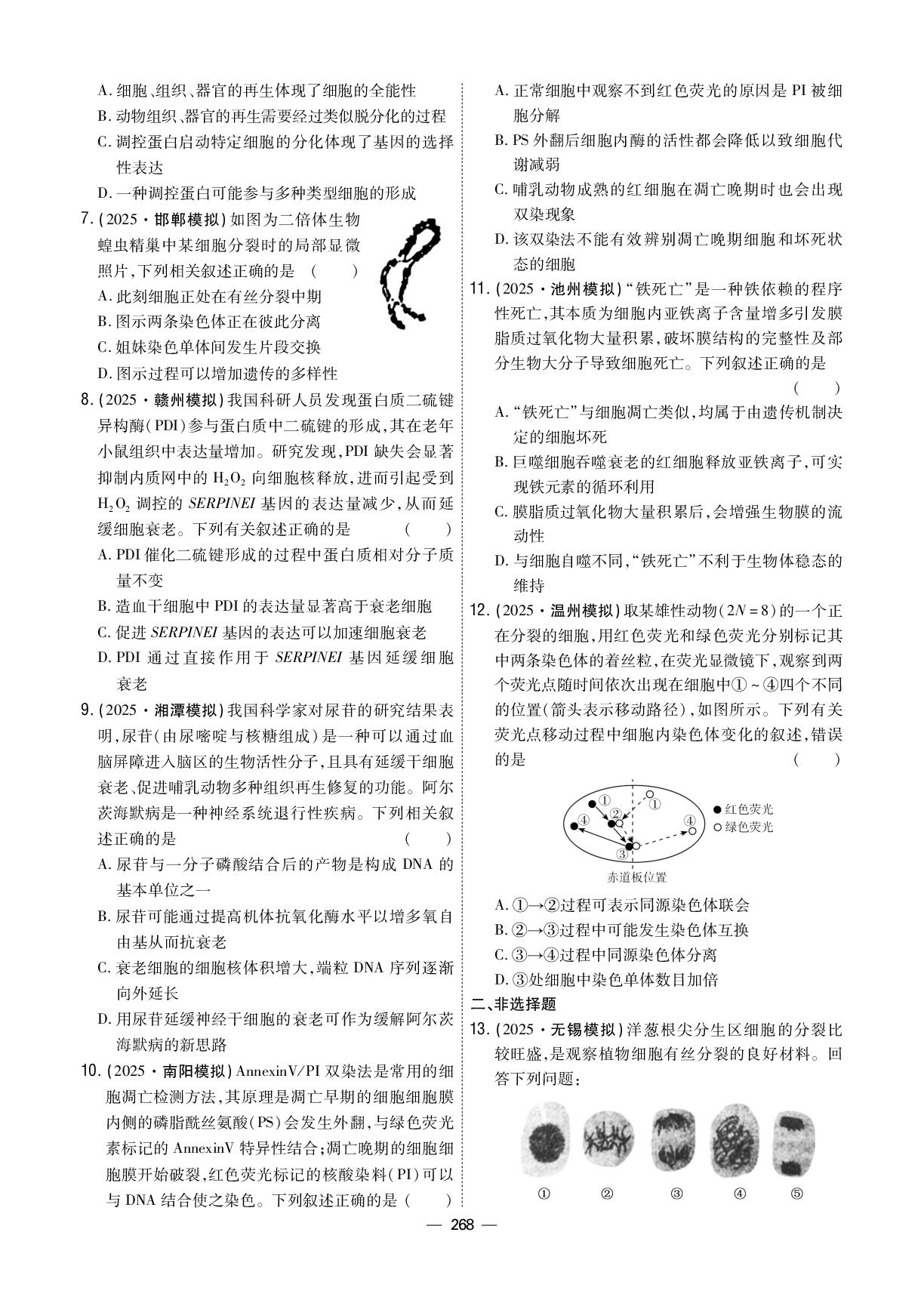 复习练案3 第一部分 专题三 细胞的生命历程-【衡中学案】2026年高考生物二轮总复习提能训练（单选版）