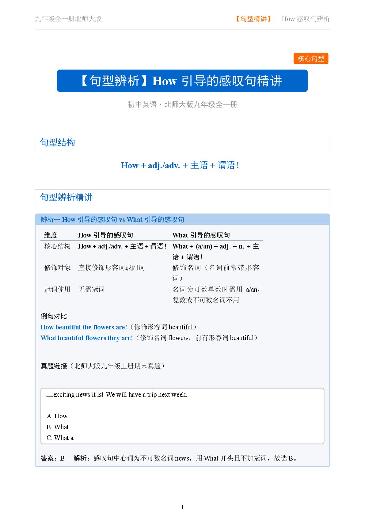 How引导的感叹句-2025-2026学年九年级英语全一册句型辨析（北师大版）