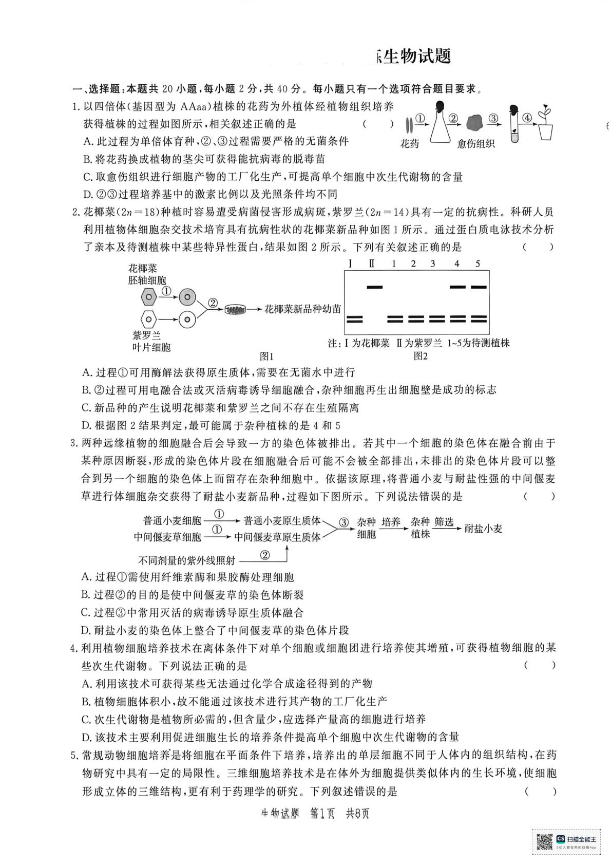山东省菏泽市鄄城县第一中学2025-2026学年高二下学期4月阶段检测生物试题