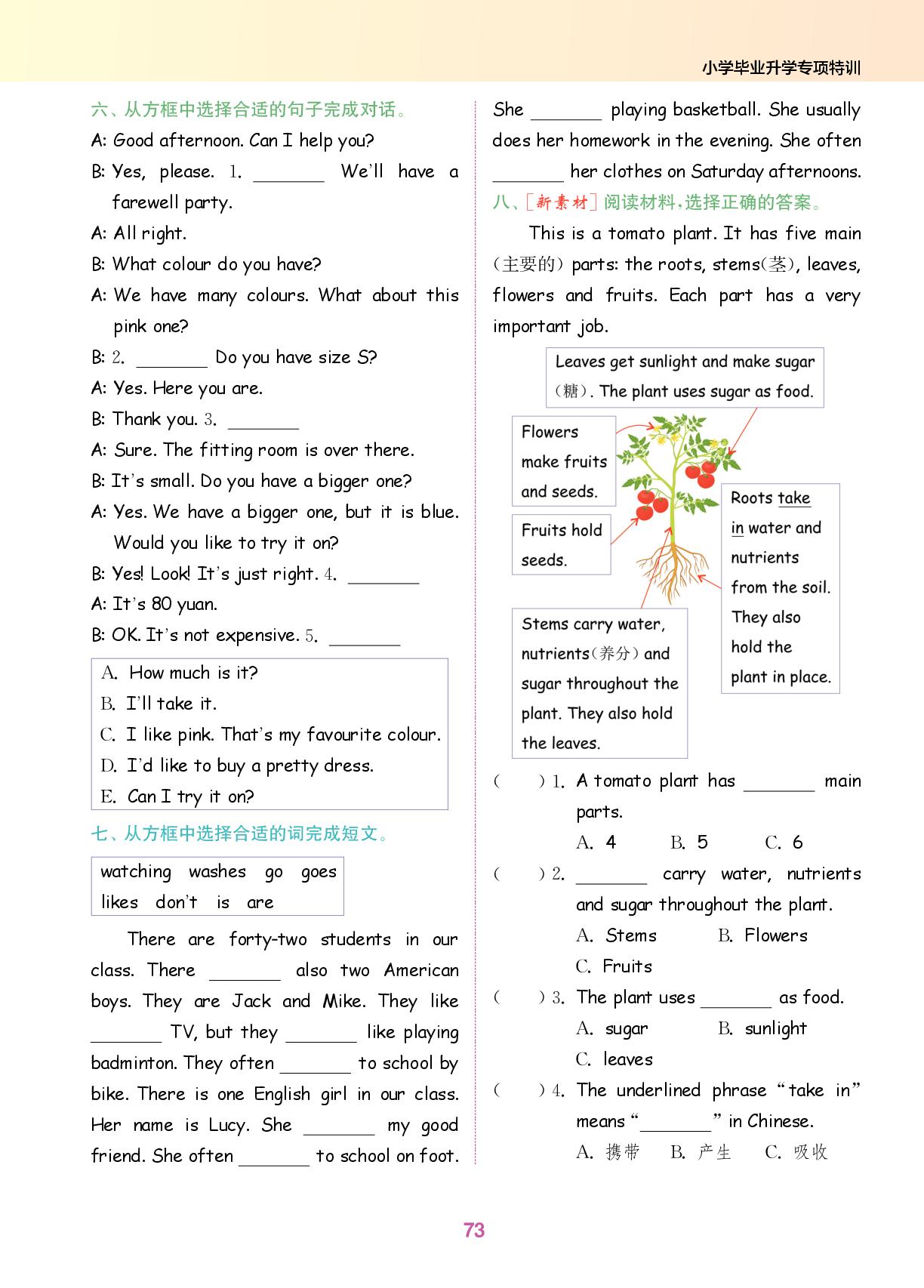 小学毕业升学专项特训8-15-【拔尖特训】2025-2026学年六年级下册英语（人教PEP版）