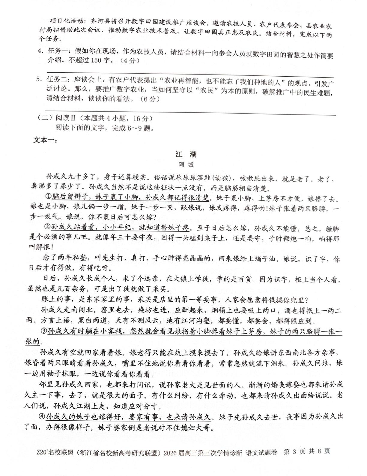 Z20⁺名校联盟（浙江省名校新高考研究联盟）2026届高三考前学情诊断语文试题卷