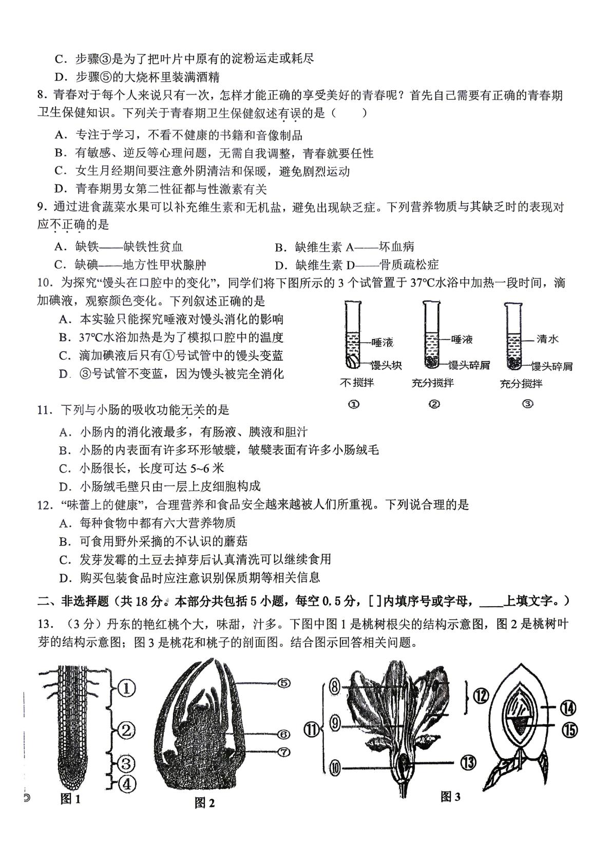 辽宁省丹东市振兴区丹东市第五中学2025—2026学年（下）七年级期中教学质量监测 七年级生物试卷