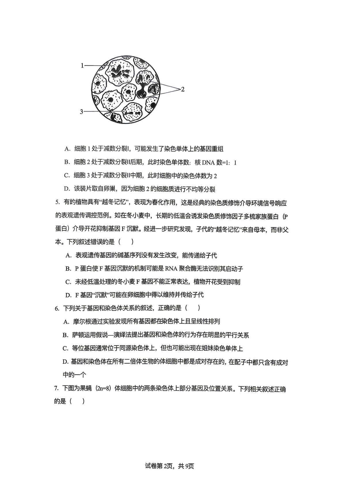 辽宁省沈阳市和平区沈阳市回民中学2025-2026学年高一下学期5月期中生物试题