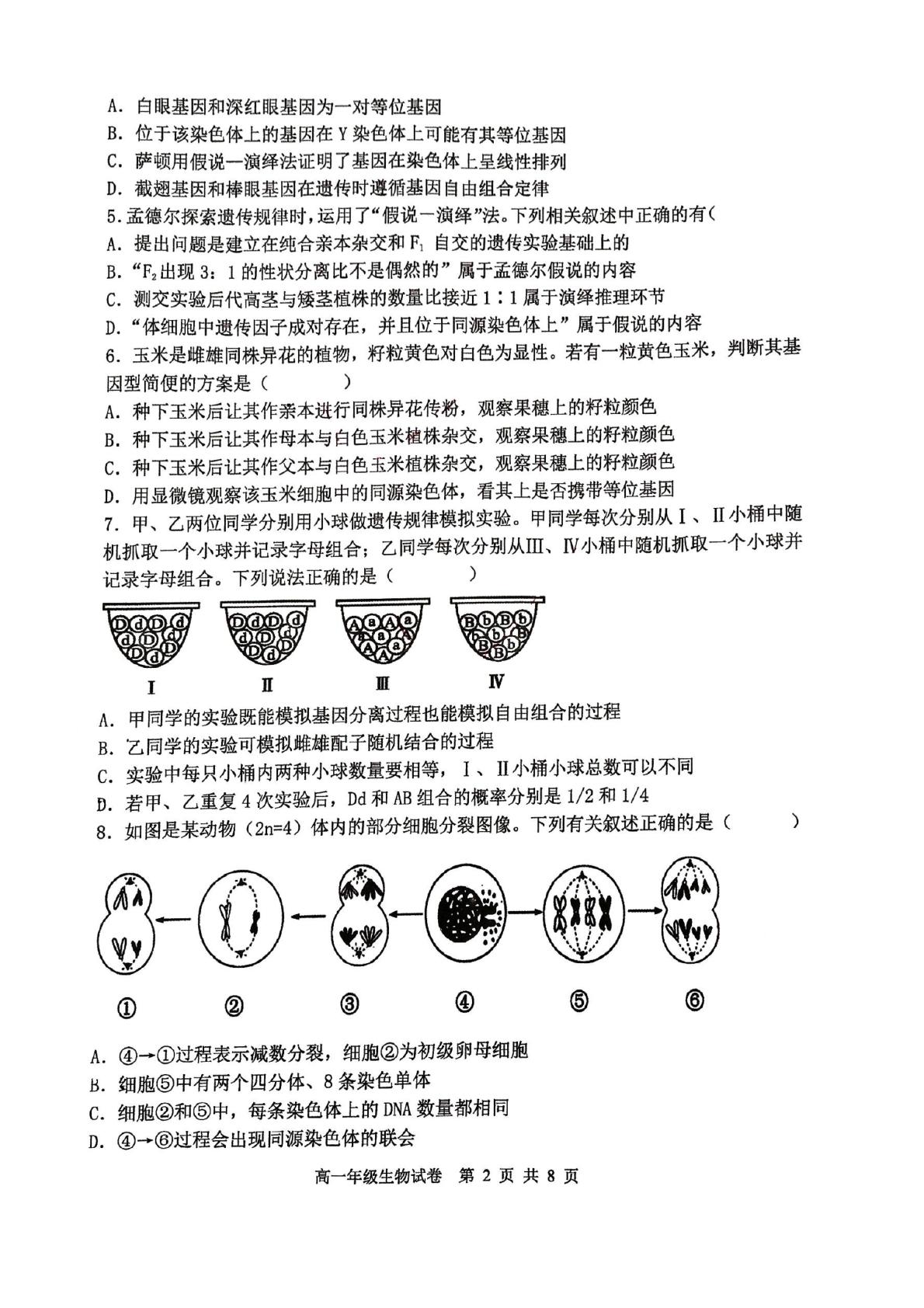 辽宁沈阳市第一中学等校2025-2026学年高一下学期期中调研 生物试卷