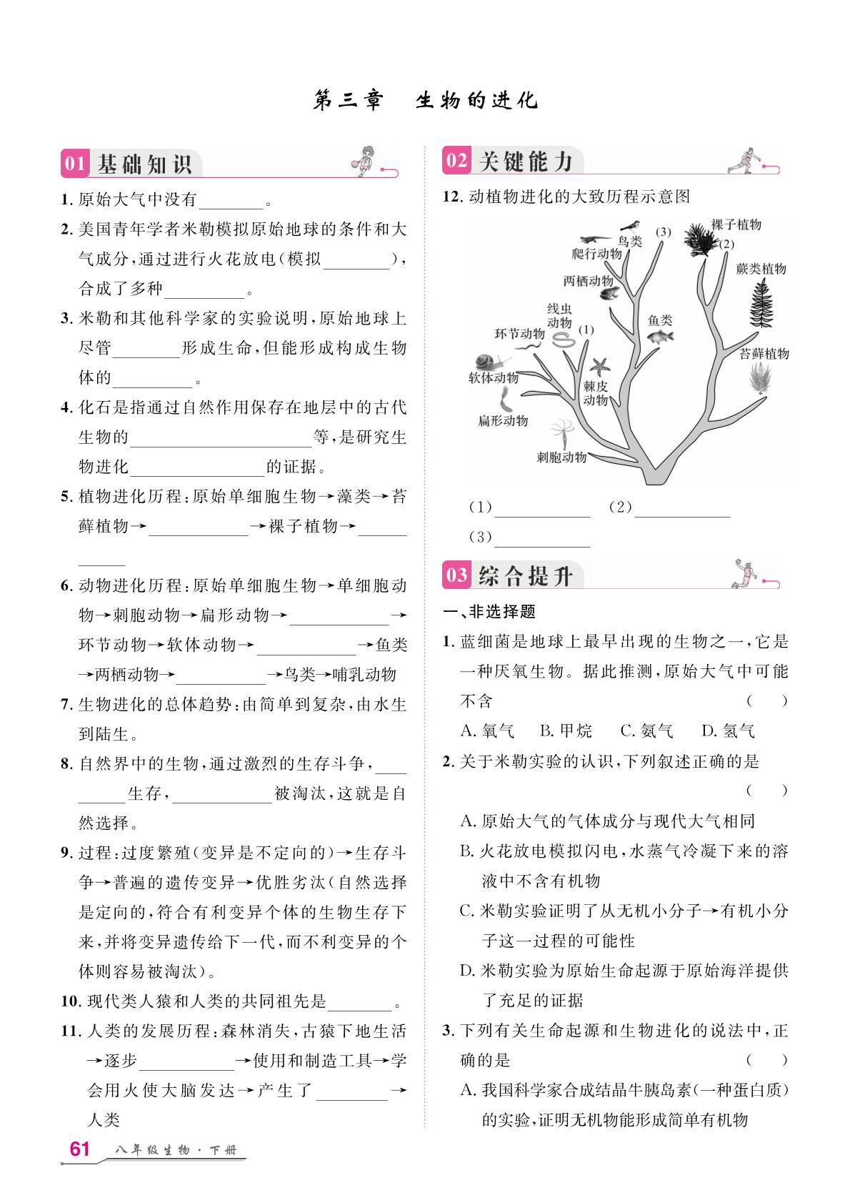 2 期末专题复习 第3章 生物的进化-【名师学案】2025-2026学年八年级下册生物分层进阶学习法（人教版·新教材）