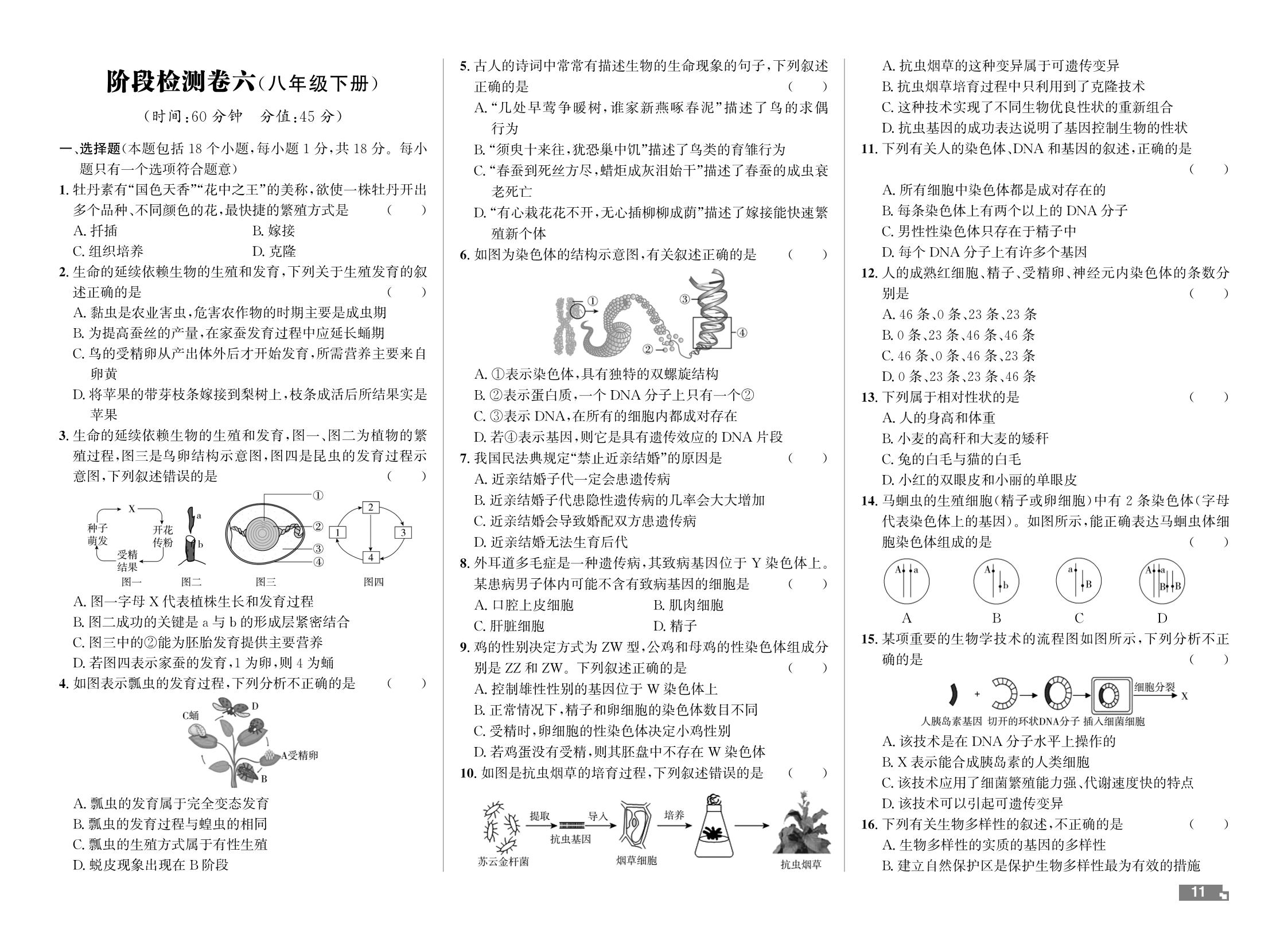 阶段检测卷六(八年级下册)-【中考对策】2026年中考总复习生物（鲁科版 五四制）