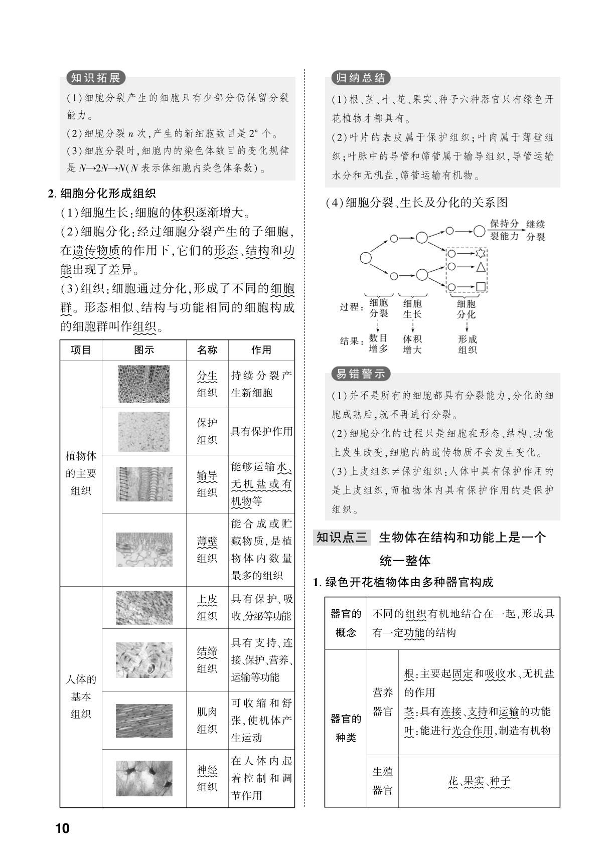 第1单元 第2章 生物体具有一定的结构层次-【中考对策】2026年中考总复习生物（济南版）