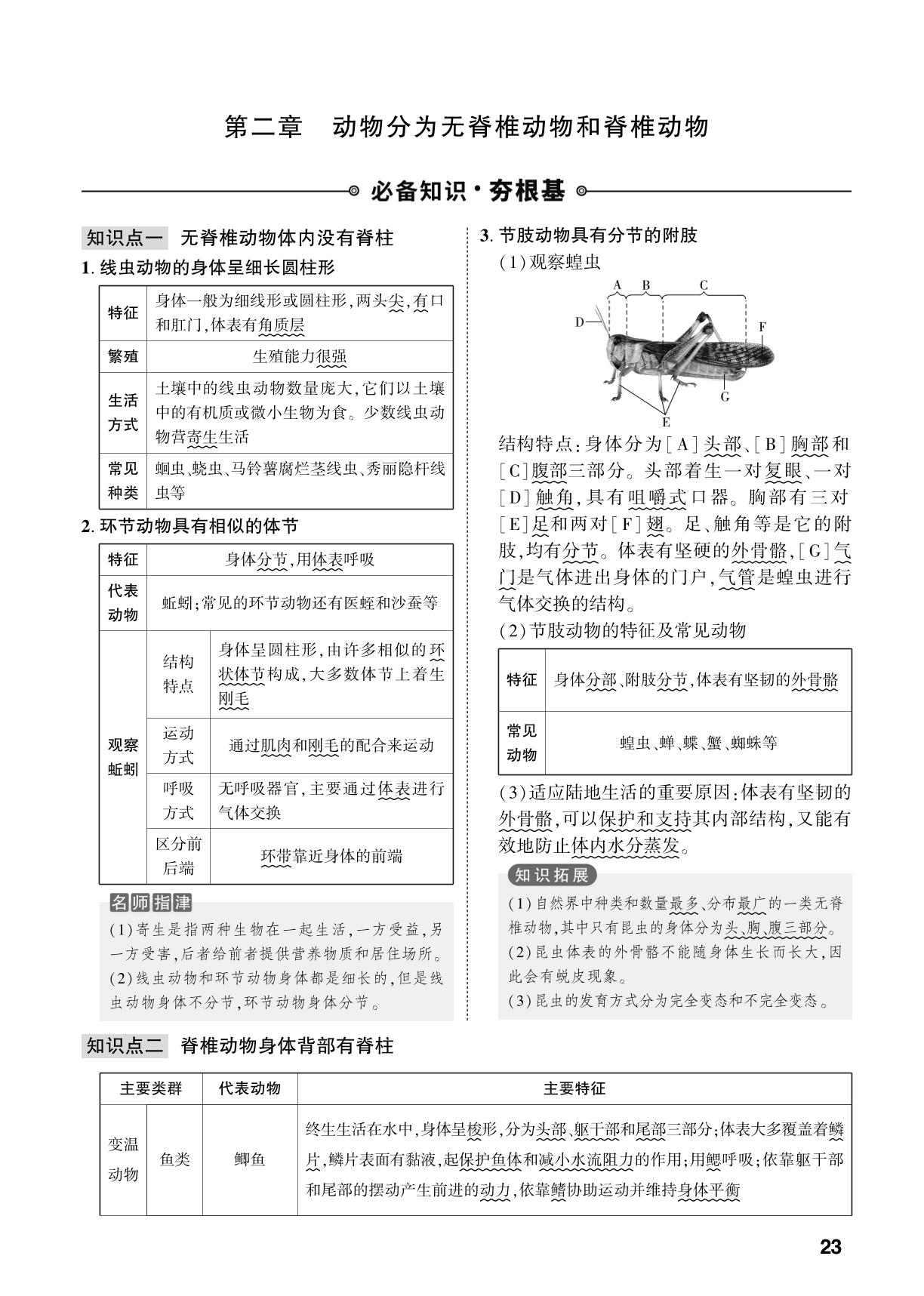 第2单元 第2章 动物分为无脊椎动物和脊椎动物-【中考对策】2026年中考总复习生物（济南版）