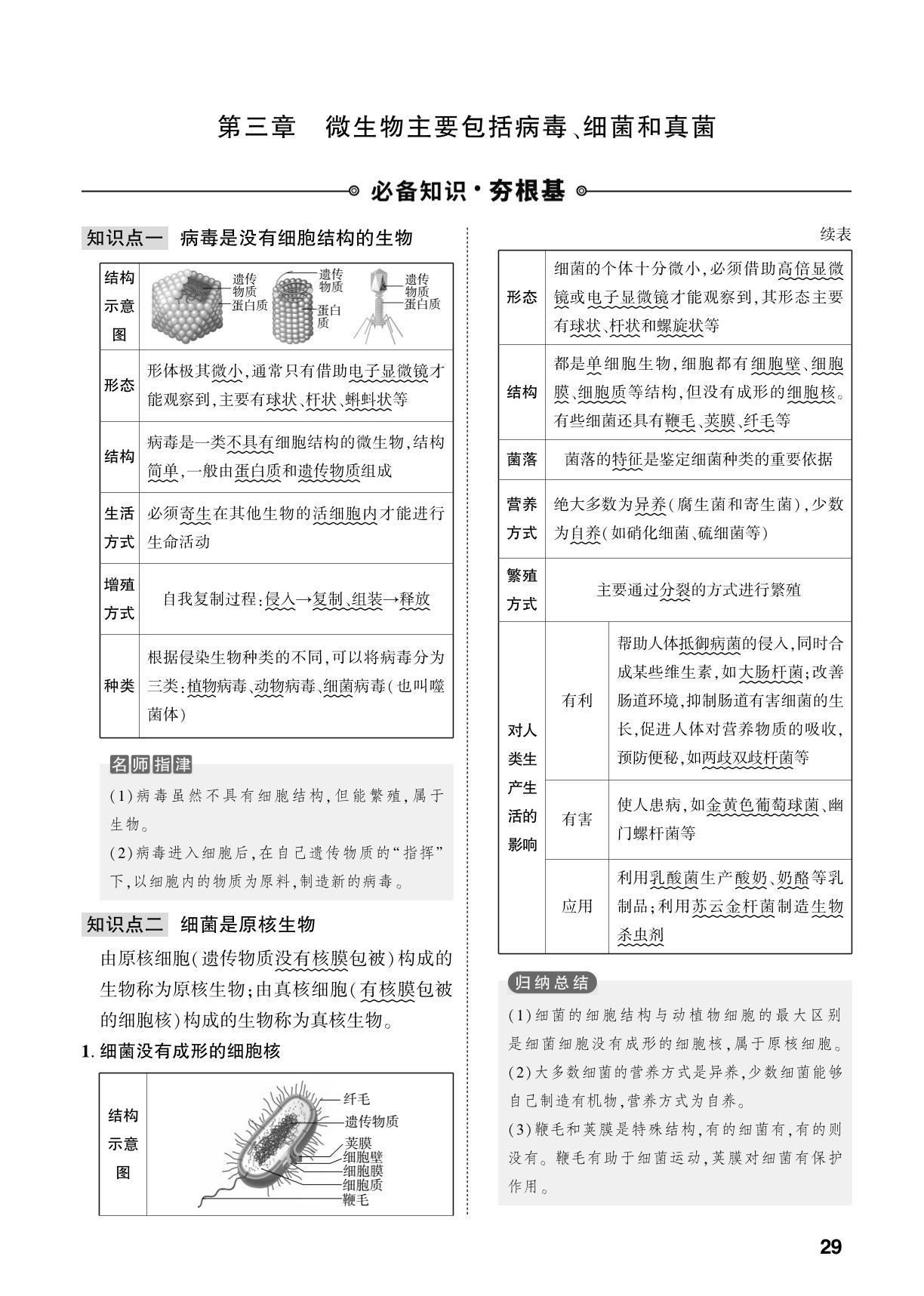 第2单元 第3章 微生物主要包括病毒、细菌和真菌-【中考对策】2026年中考总复习生物（济南版）