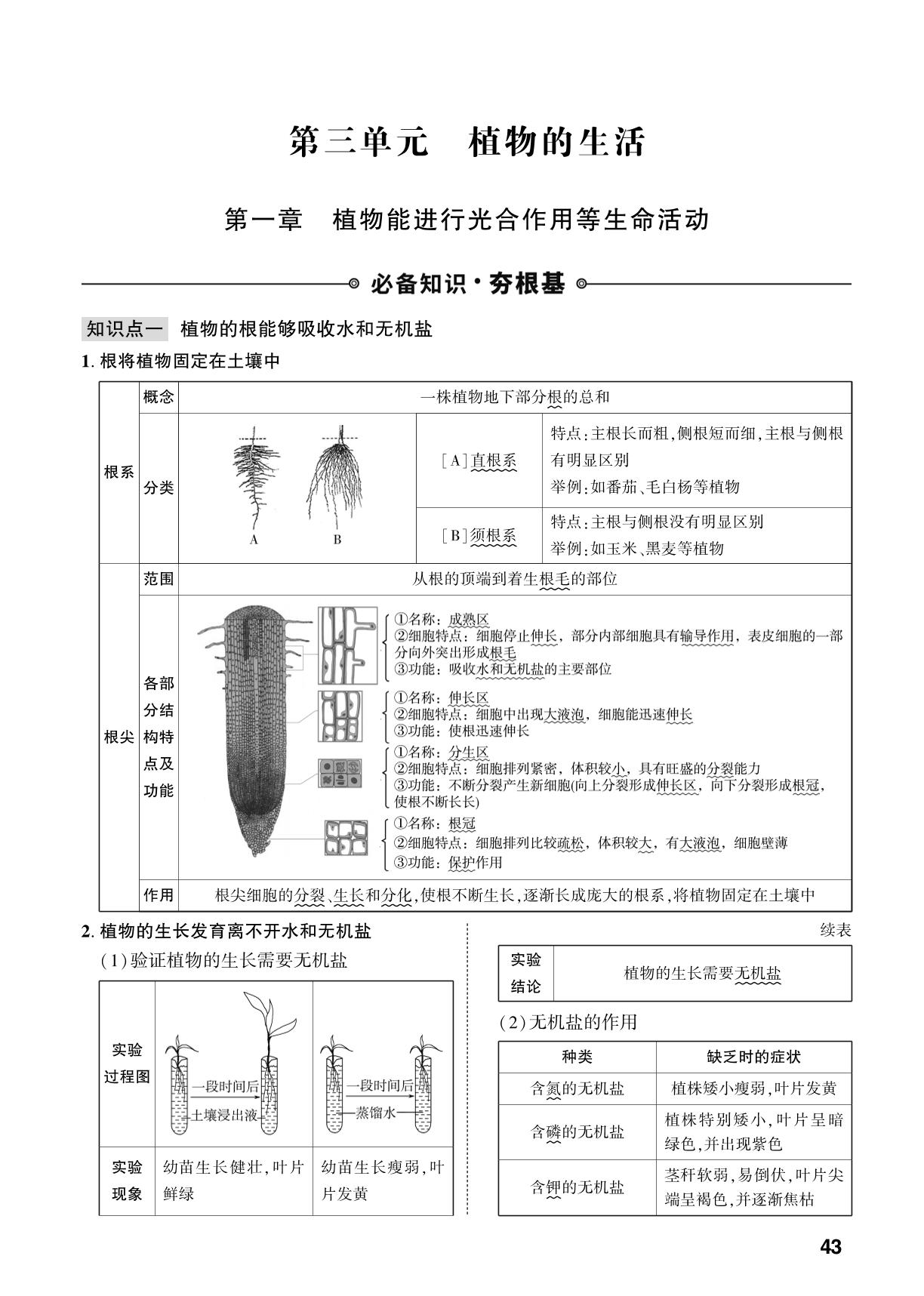 第3单元 第1章 植物能进行光合作用等生命活动-【中考对策】2026年中考总复习生物（济南版）