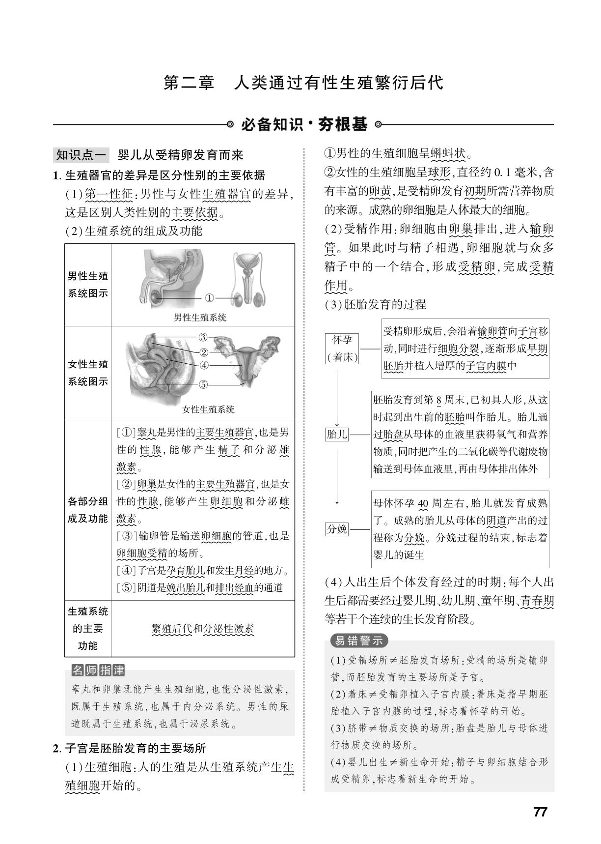第4单元 第2章 人类通过有性生殖繁衍后代-【中考对策】2026年中考总复习生物（济南版）