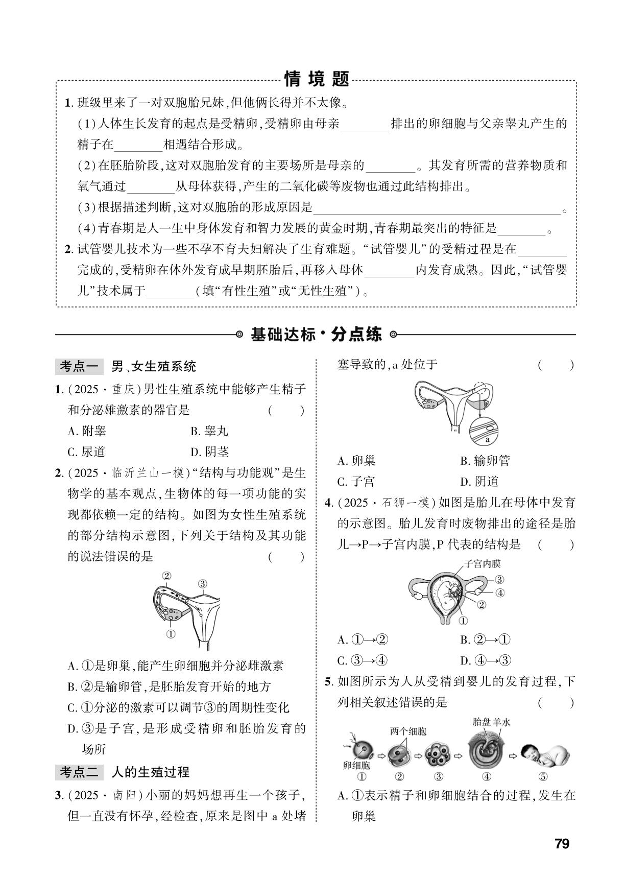 第4单元 第2章 人类通过有性生殖繁衍后代-【中考对策】2026年中考总复习生物（济南版）