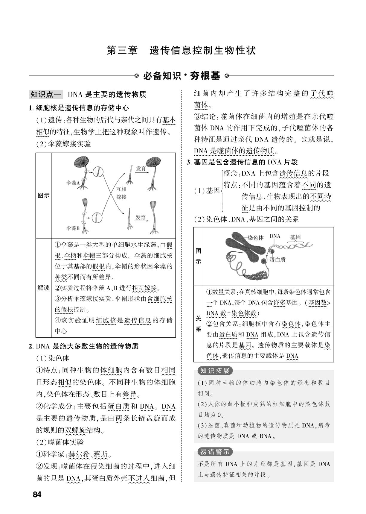 第4单元 第3章 遗传信息控制生物性状-【中考对策】2026年中考总复习生物（济南版）