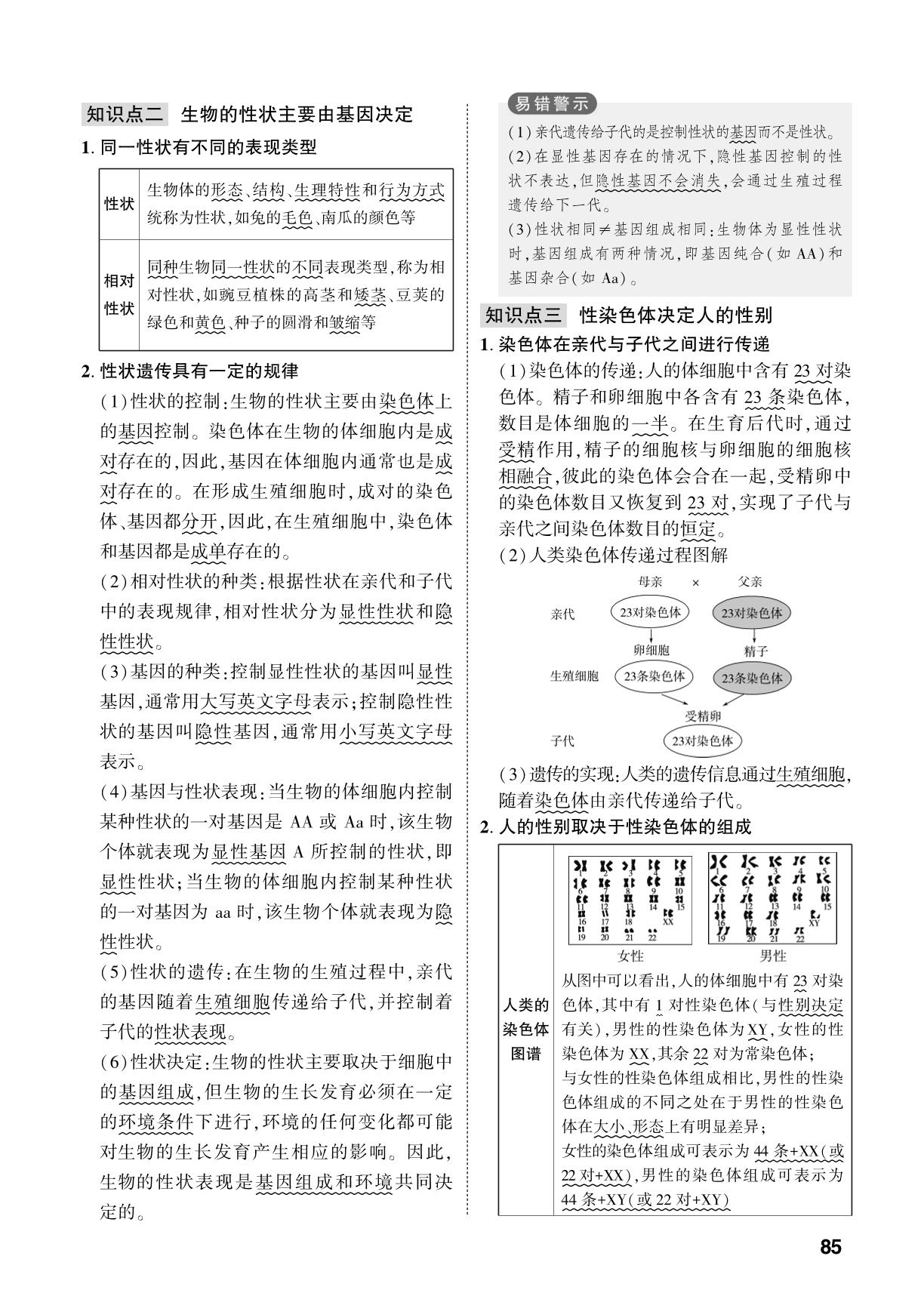 第4单元 第3章 遗传信息控制生物性状-【中考对策】2026年中考总复习生物（济南版）