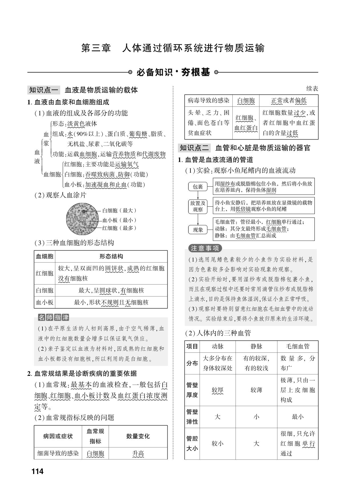 第5单元 第3章 人体通过循环系统进行物质运输-【中考对策】2026年中考总复习生物（济南版）