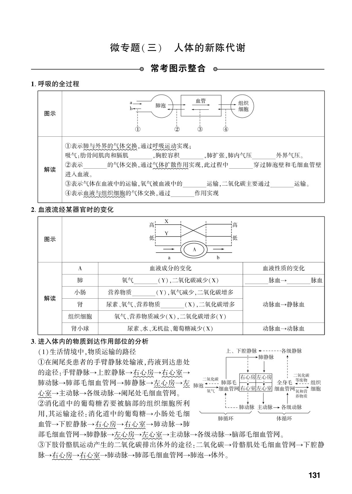 第5单元 微专题(三)人体的新陈代谢-【中考对策】2026年中考总复习生物（济南版）