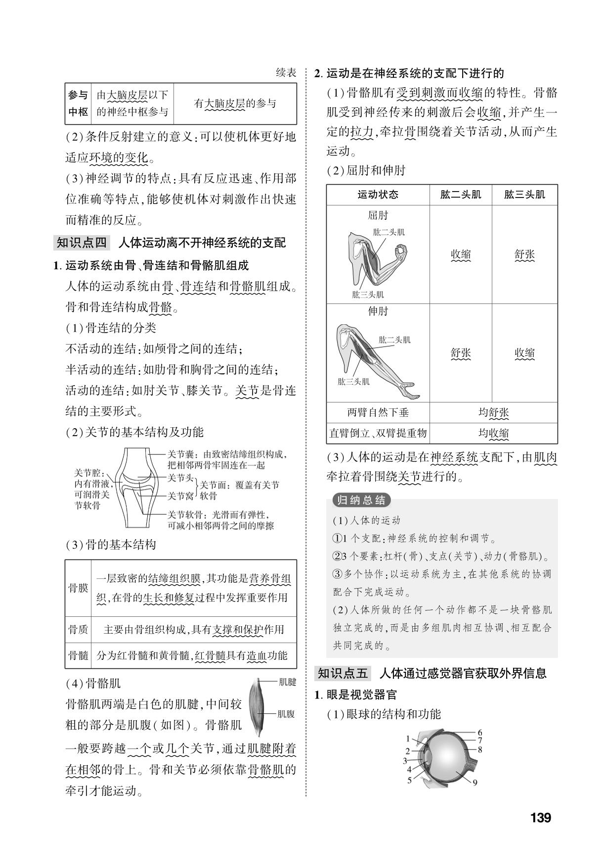 第6单元 第1章 人体生命活动需要神经系统和内分泌系统的调节-【中考对策】2026年中考总复习生物（济南版）