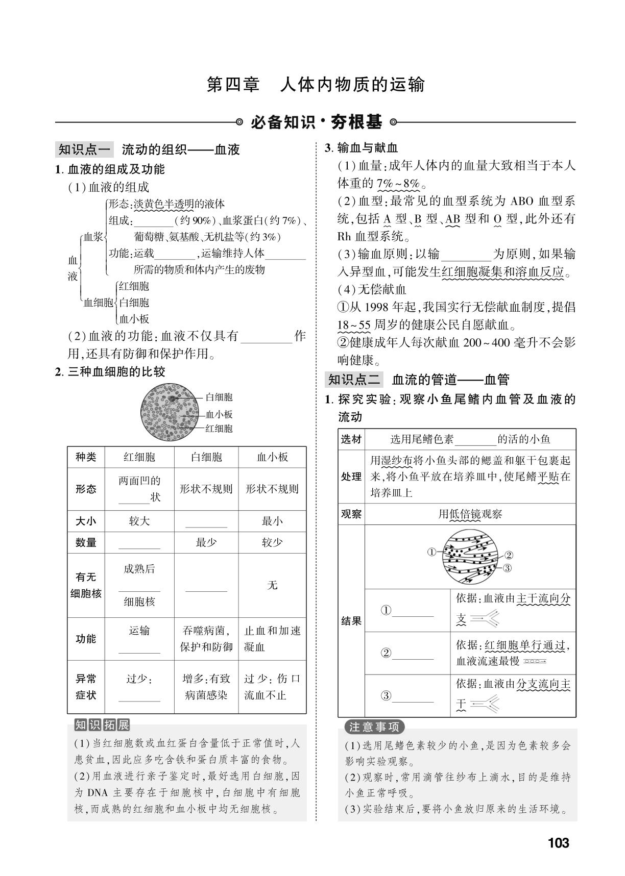 第4单元 第4章 人体内物质的运输-【中考对策】2026年中考总复习生物（人教版）