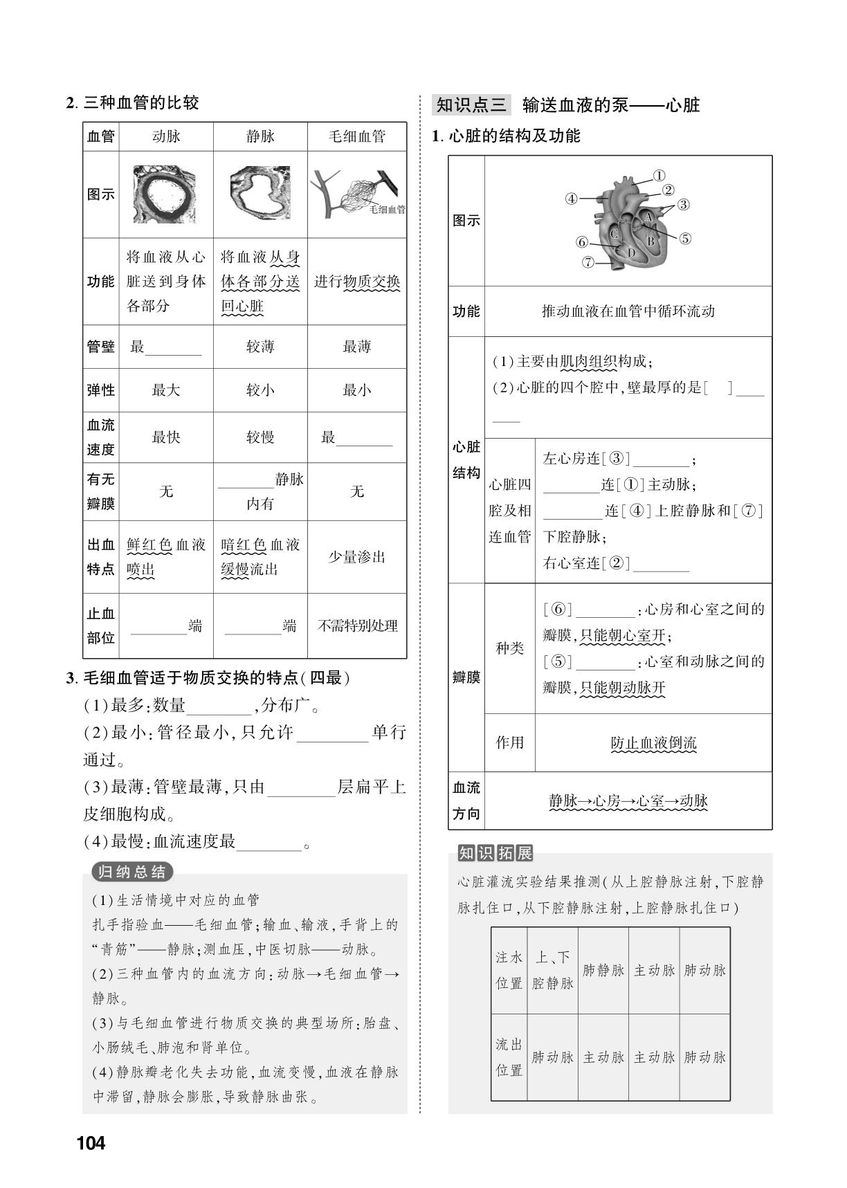 第4单元 第4章 人体内物质的运输-【中考对策】2026年中考总复习生物（人教版）
