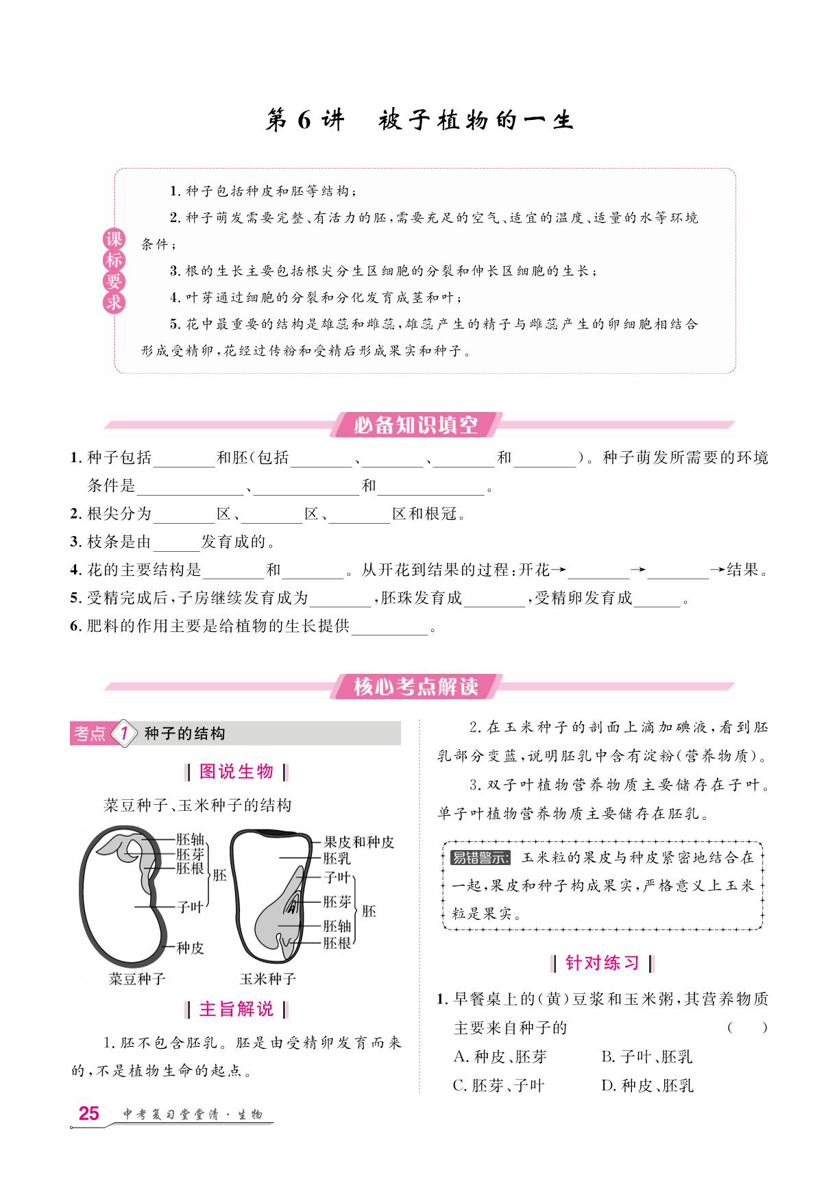 第3单元 第6讲 被子植物的一生-【名师学案】2026年中考生物复习堂堂清