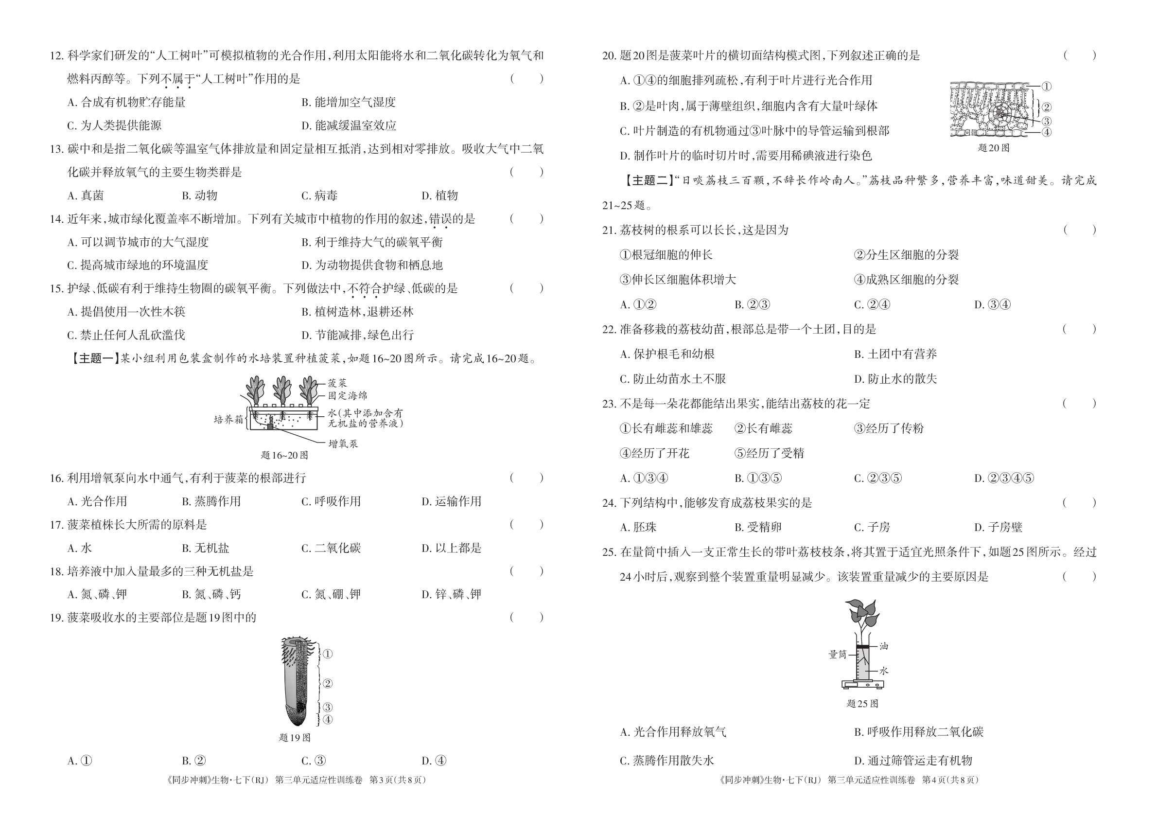第3单元 植物的生活 适应性训练卷-【同步冲刺】2024-2025学年七年级下册生物阶段测试适应性训练卷（人教版·新教材）