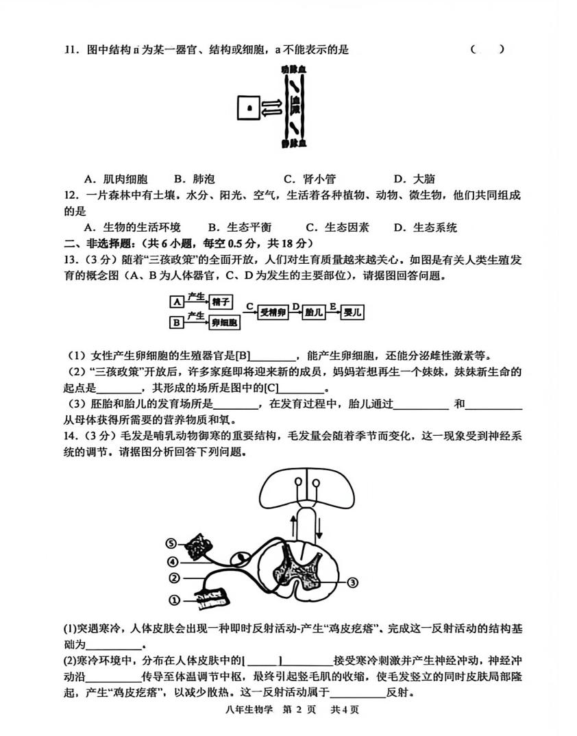 2025-2026学年辽宁铁岭市开原市八年生物学学情分析