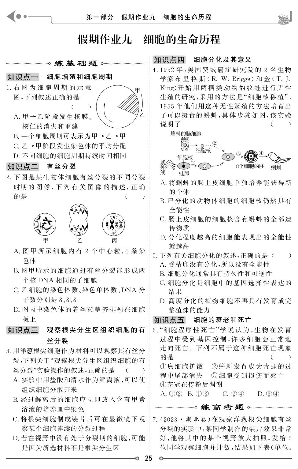 假期作业9 细胞的生命历程-【创新大课堂·暑假作业】2025-2026学年高二生物快乐假期讲练测