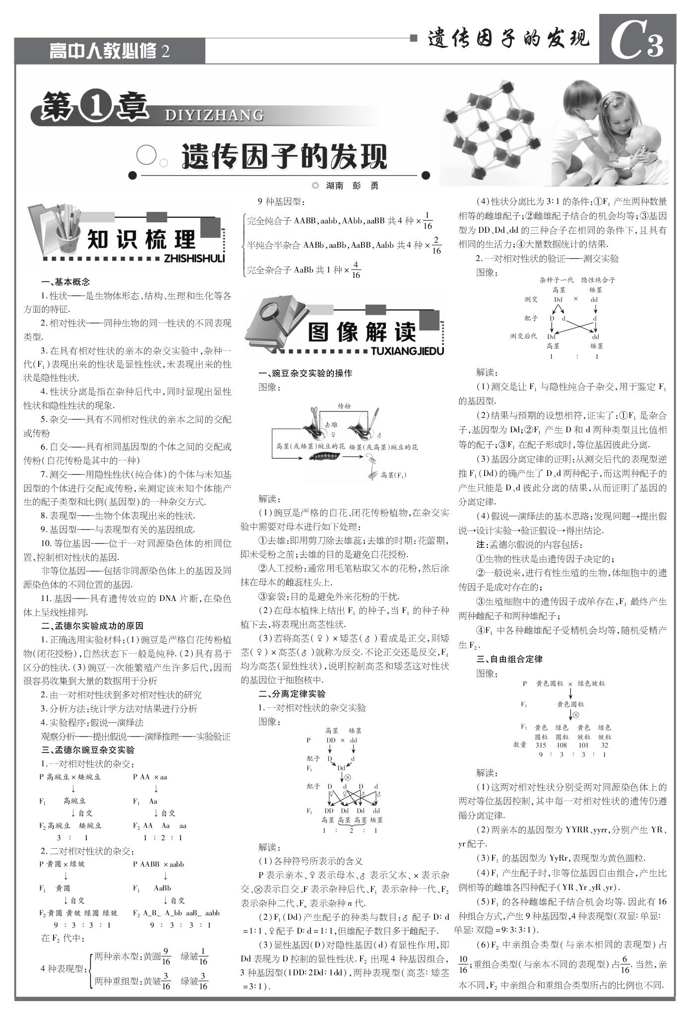 第1章 遗传因子的发现-【数理报】2025-2026学年高一生物必修2 遗传与进化期末复习专号升级突破大模拟（人教版）
