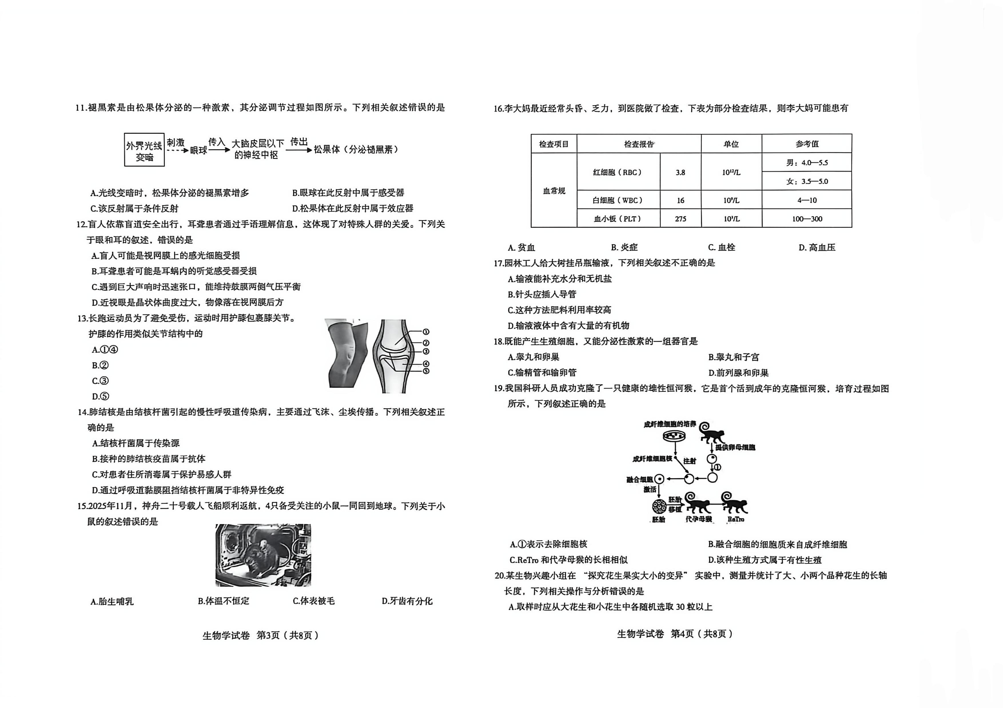 2026年河北省邯郸市大名县初中学业水平模拟考试 生物学试卷