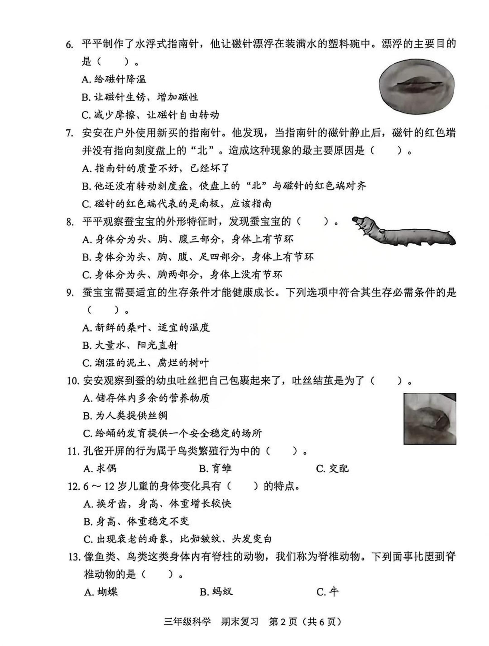 广东深圳市福田区2025-2026学年三年级下学期科学期末复习