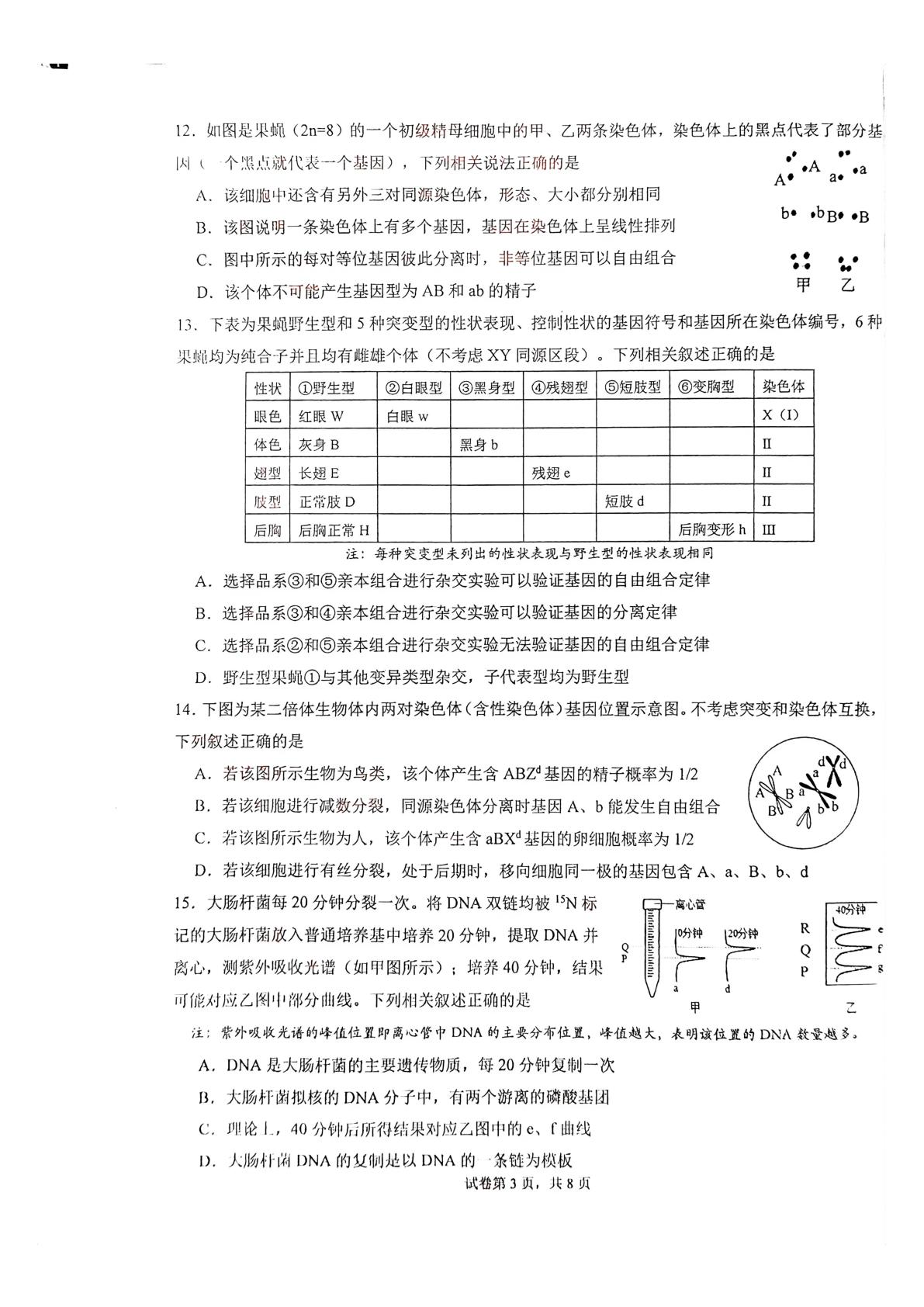 广东省深圳市高级中学集团2025-2026学年高一下学期7月期末考试生物试题