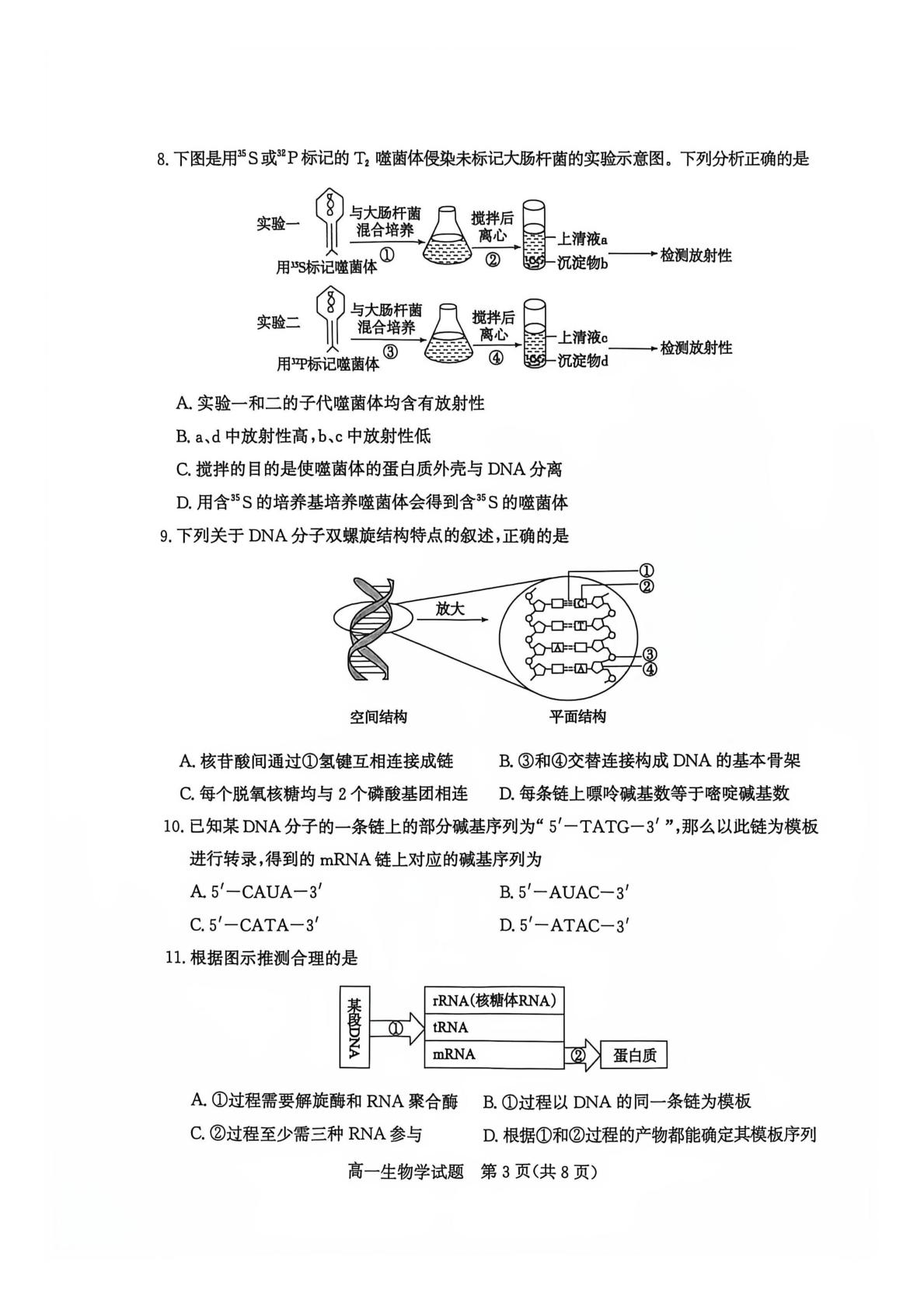 山东省滕州市2025-2026学年高一下学期期末质量检测生物试题