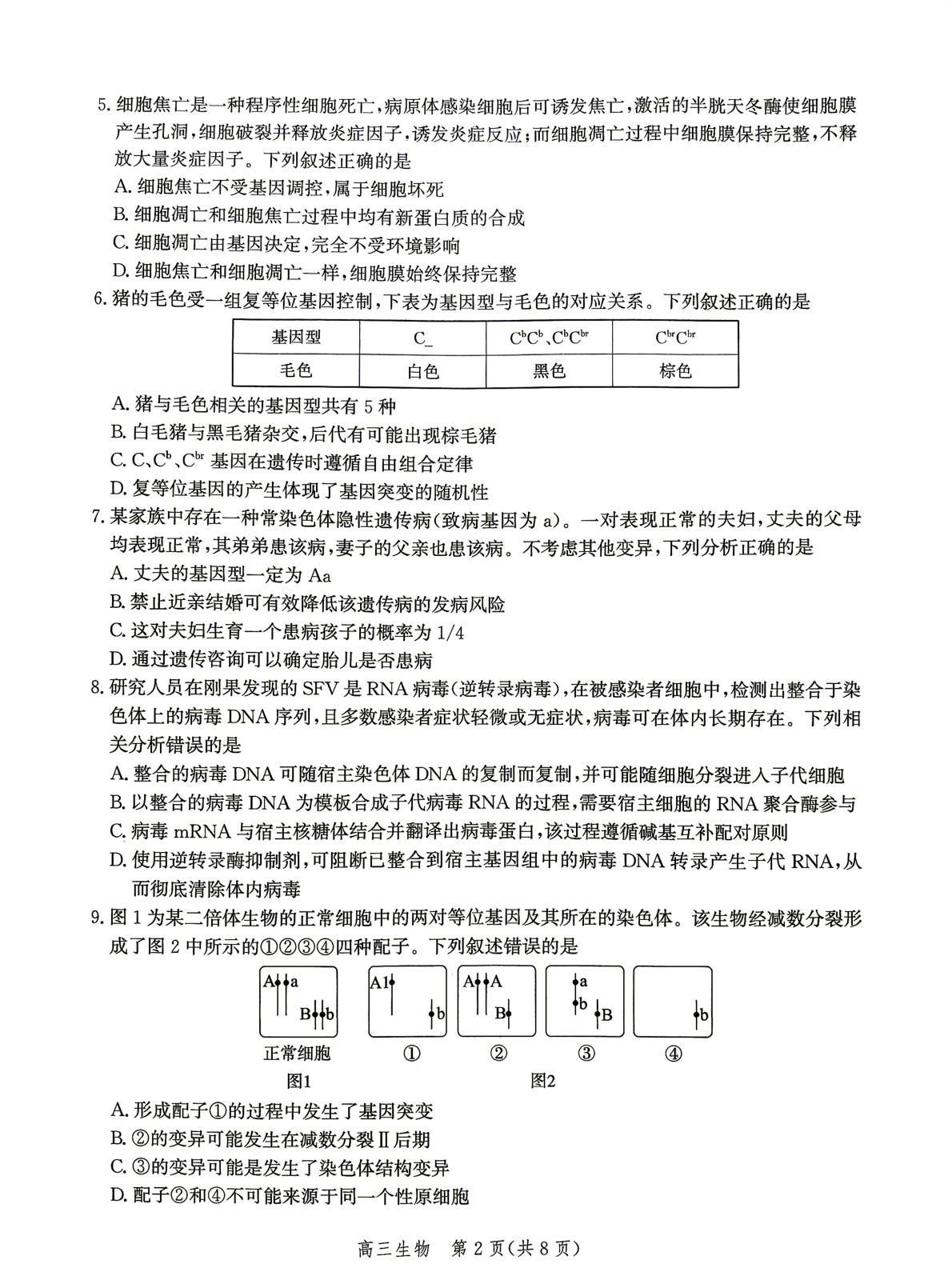 河北保定市部分学校2026-2027学年高三上学期10月月考生物试题
