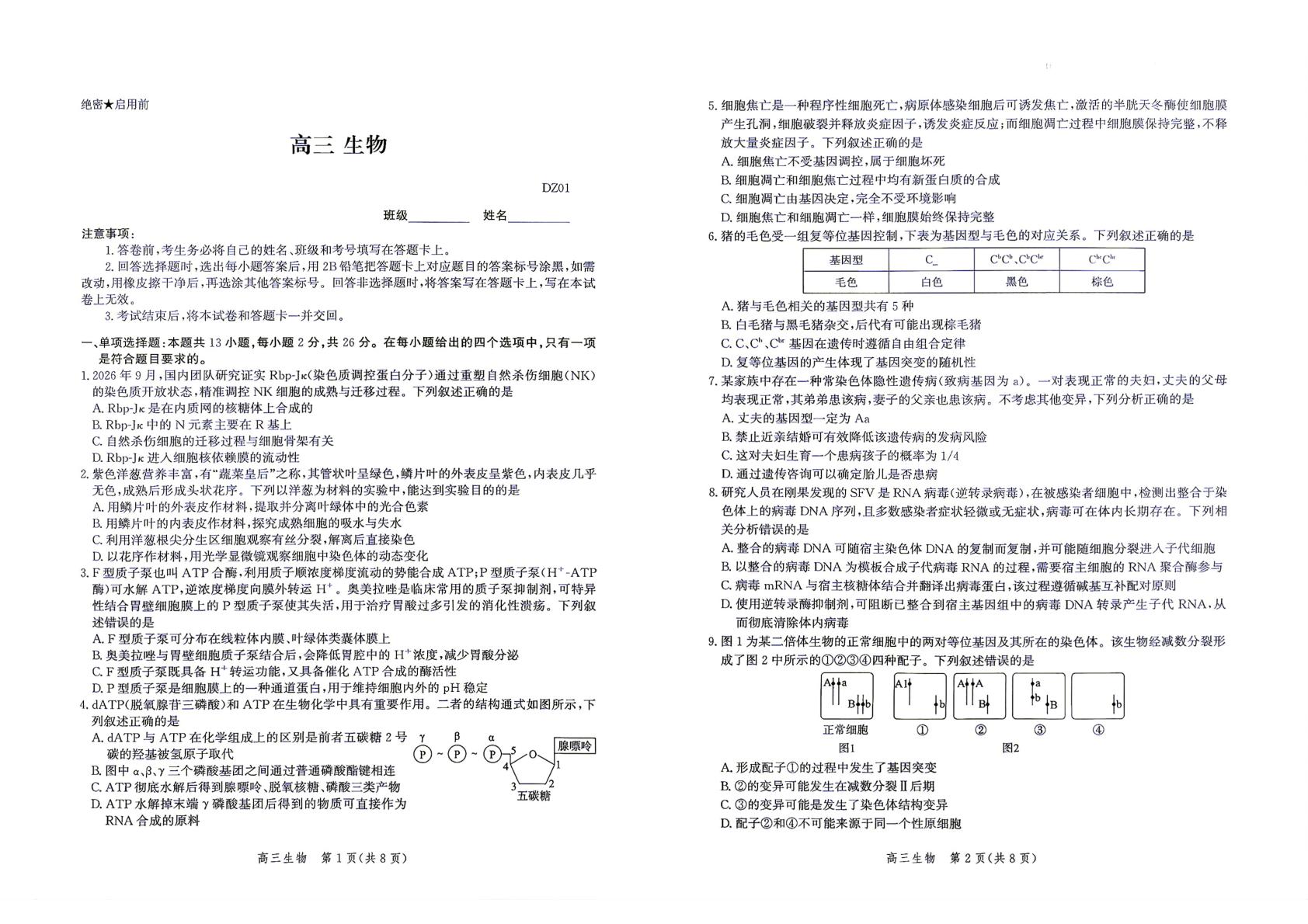 河北保定市部分学校2026-2027学年高三上学期10月月考生物试题