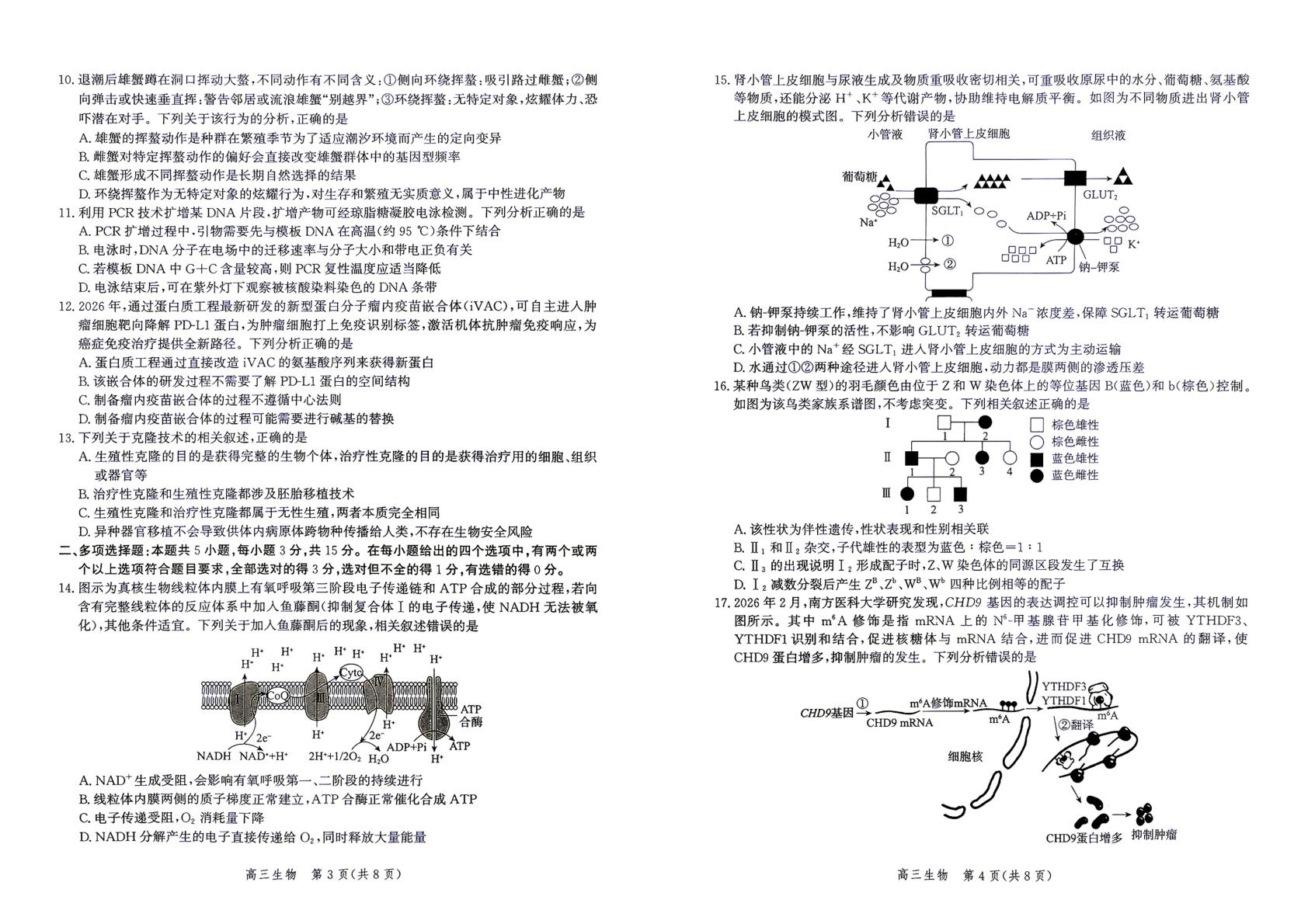 河北保定市部分学校2026-2027学年高三上学期10月月考生物试题