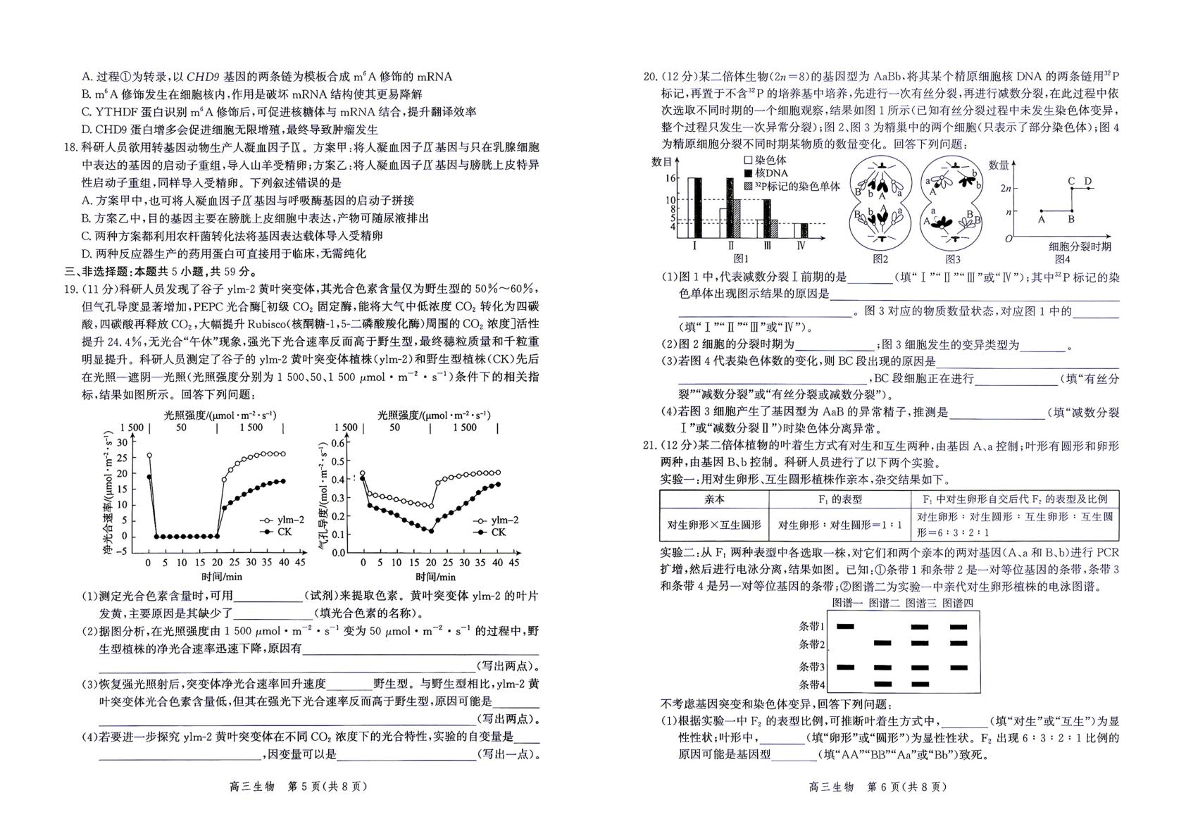 河北保定市部分学校2026-2027学年高三上学期10月月考生物试题