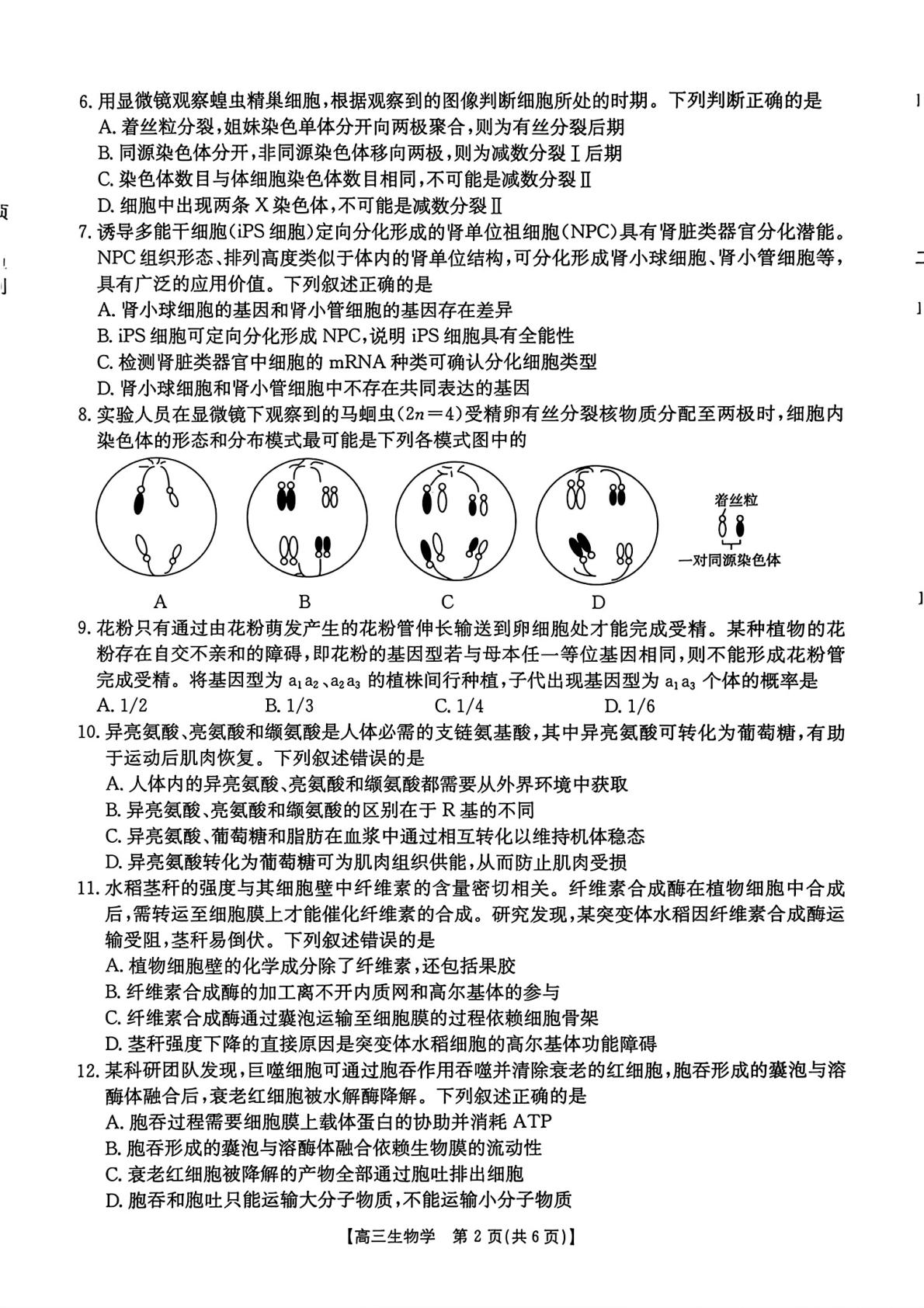 河北保定市第一中学2026-2027学年高三上学期10月阶段检测生物试题