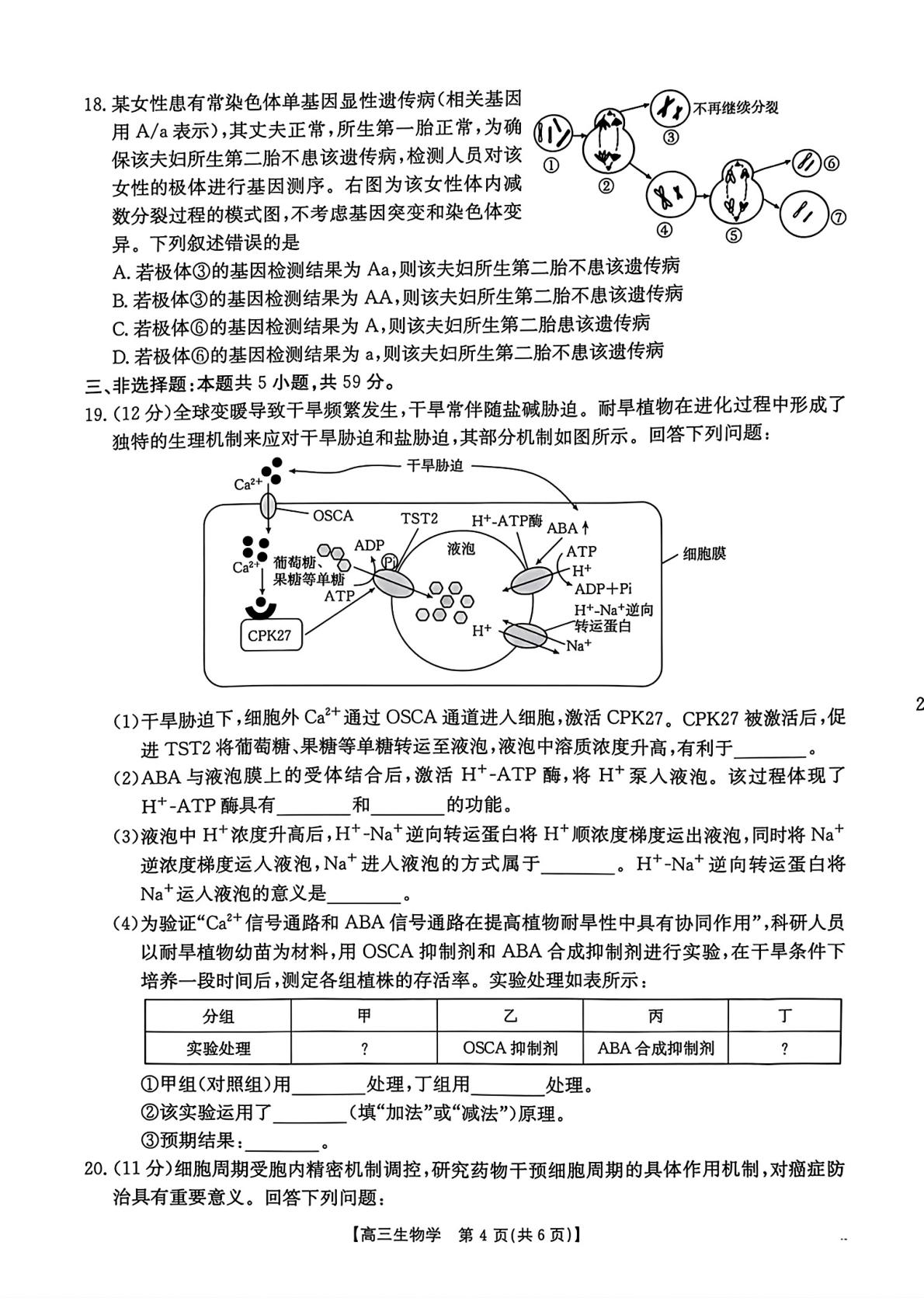 河北保定市第一中学2026-2027学年高三上学期10月阶段检测生物试题